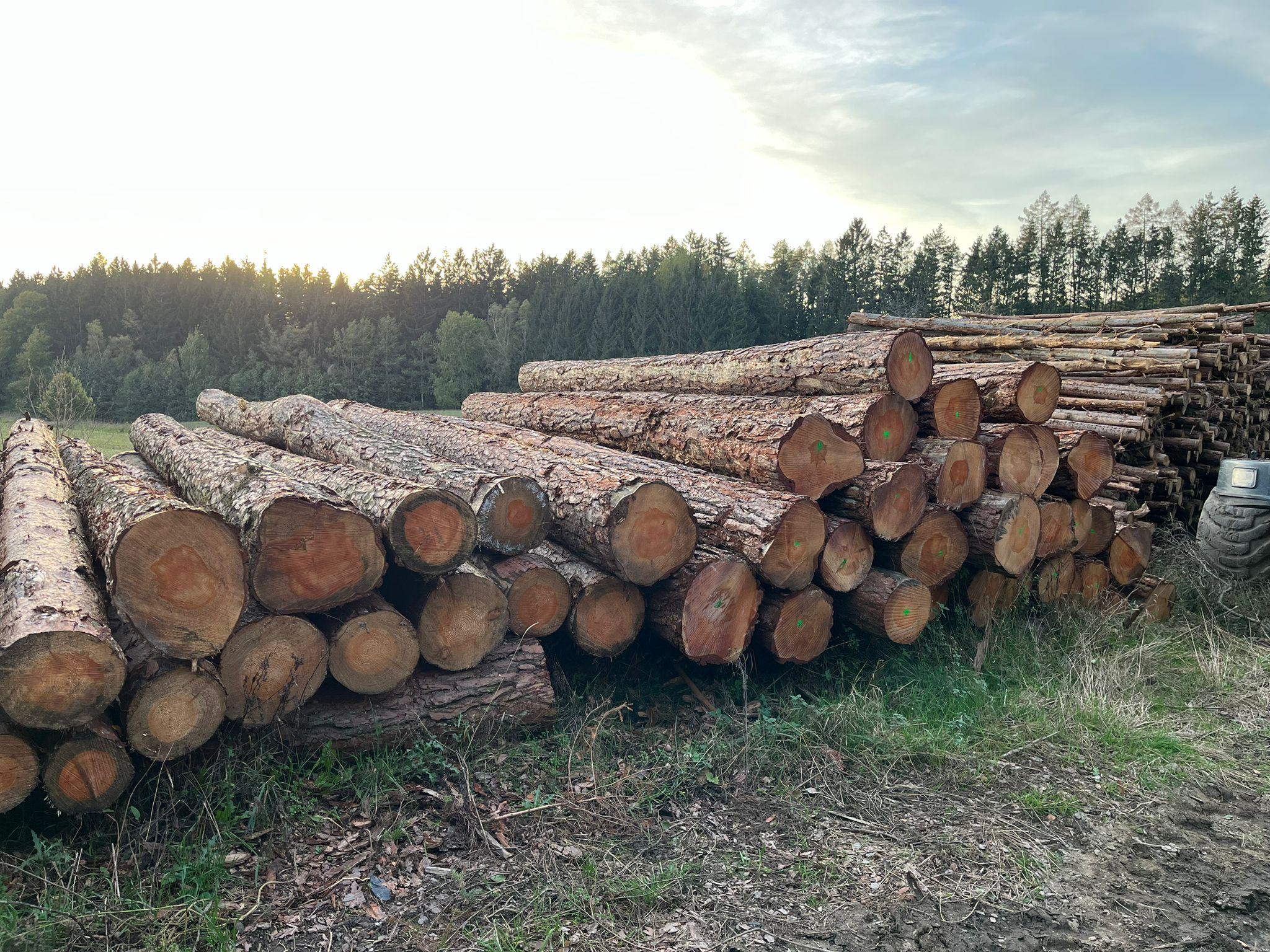 PILA RYTÍŘ S.R.O. foto 5