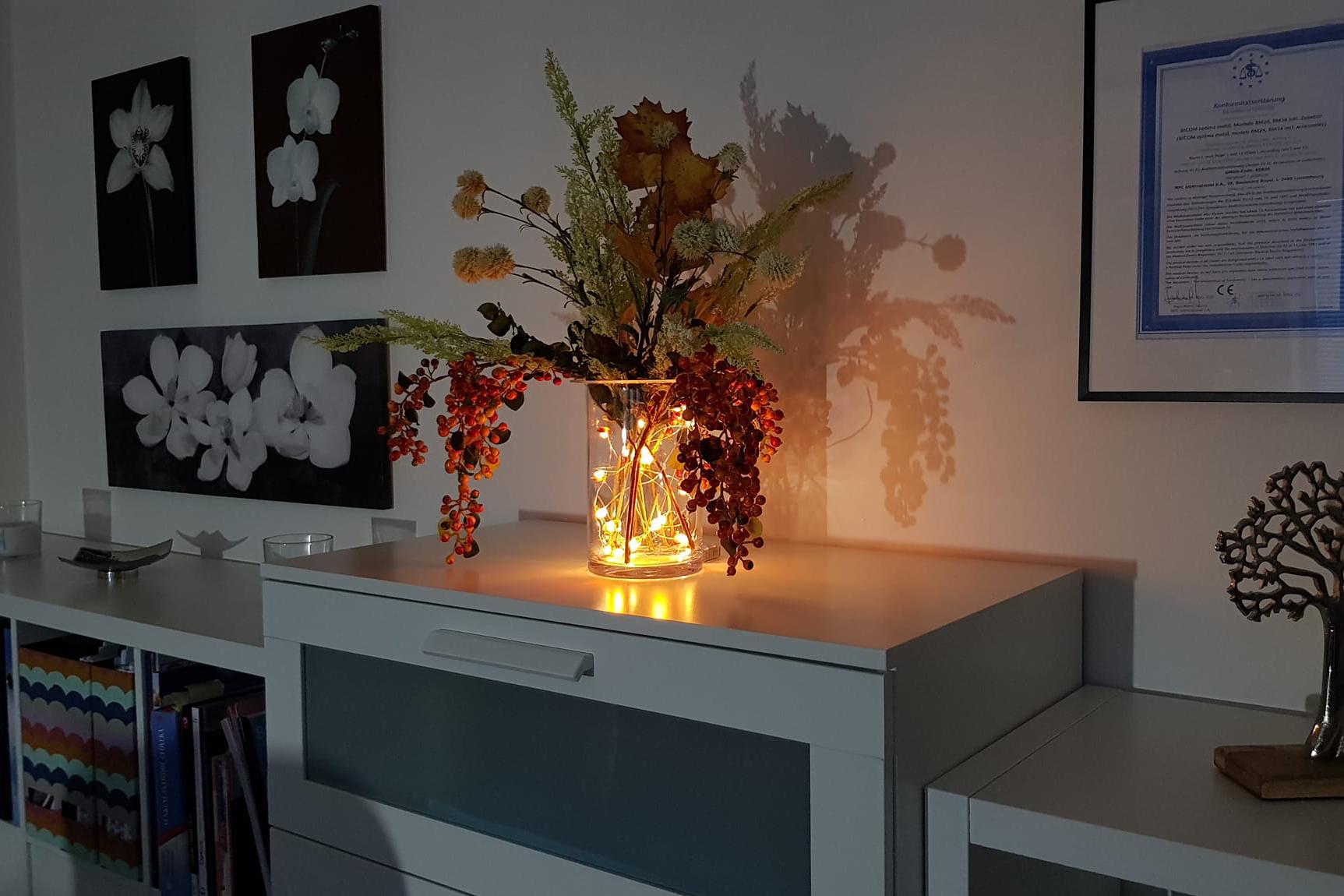 Biorezonance Vyškov - Orchid Original