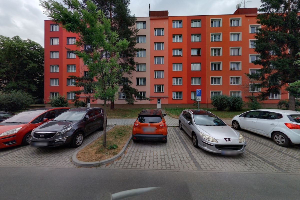 Psí salon na Borech foto 2