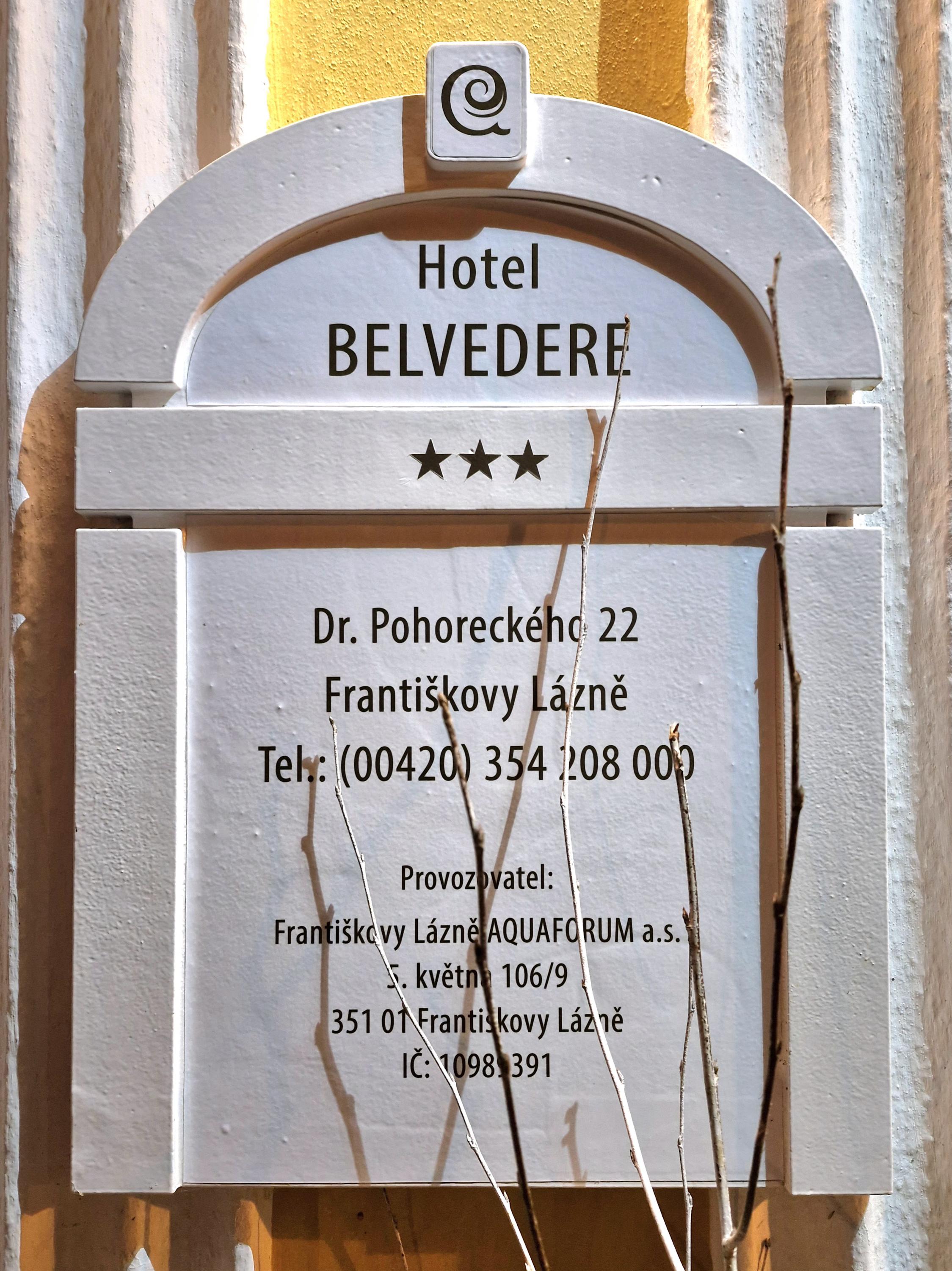 Lázeňský hotel Belvedere *** foto 3