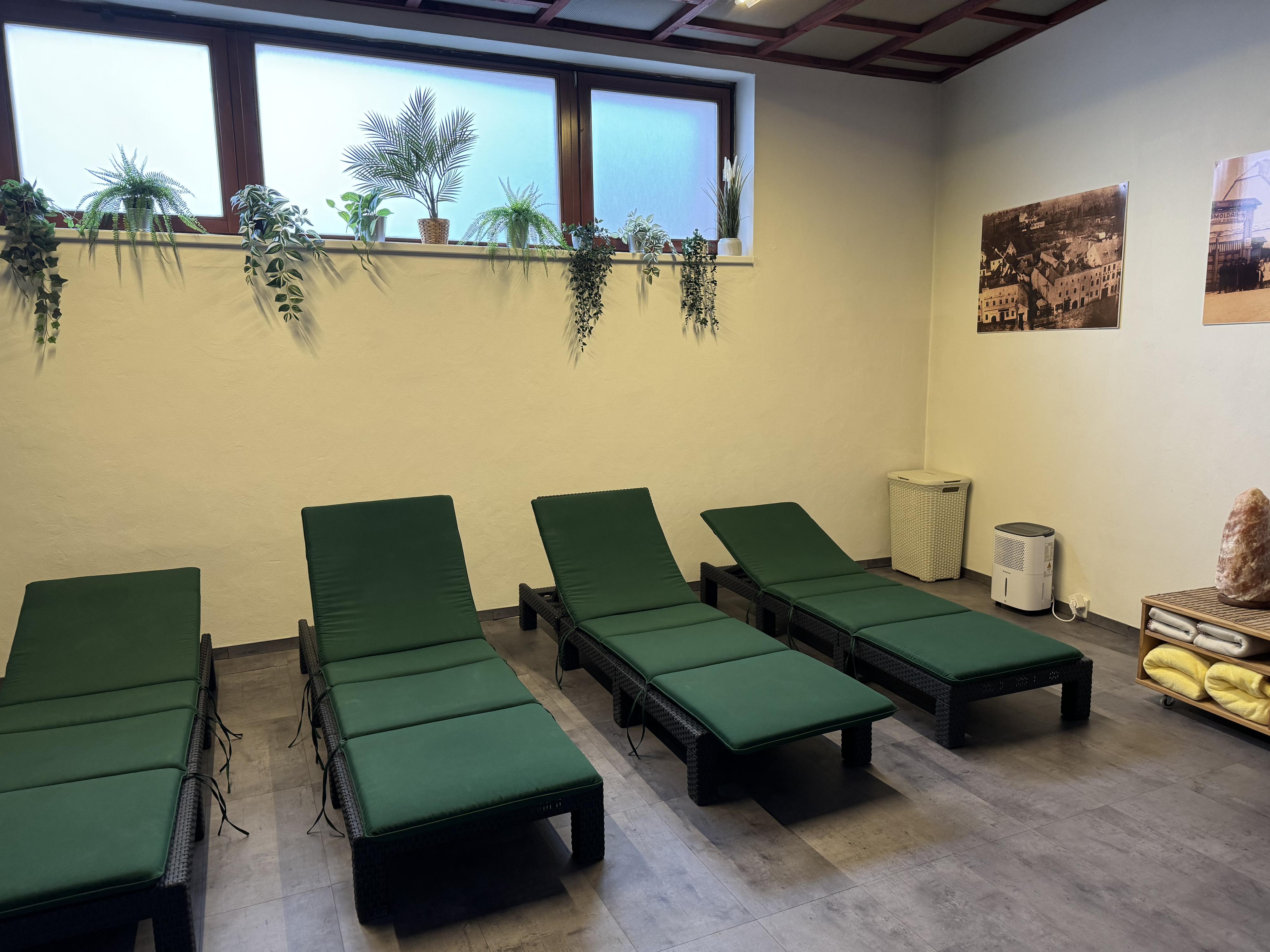 Wellness Zlatá rybka Litovel foto 2