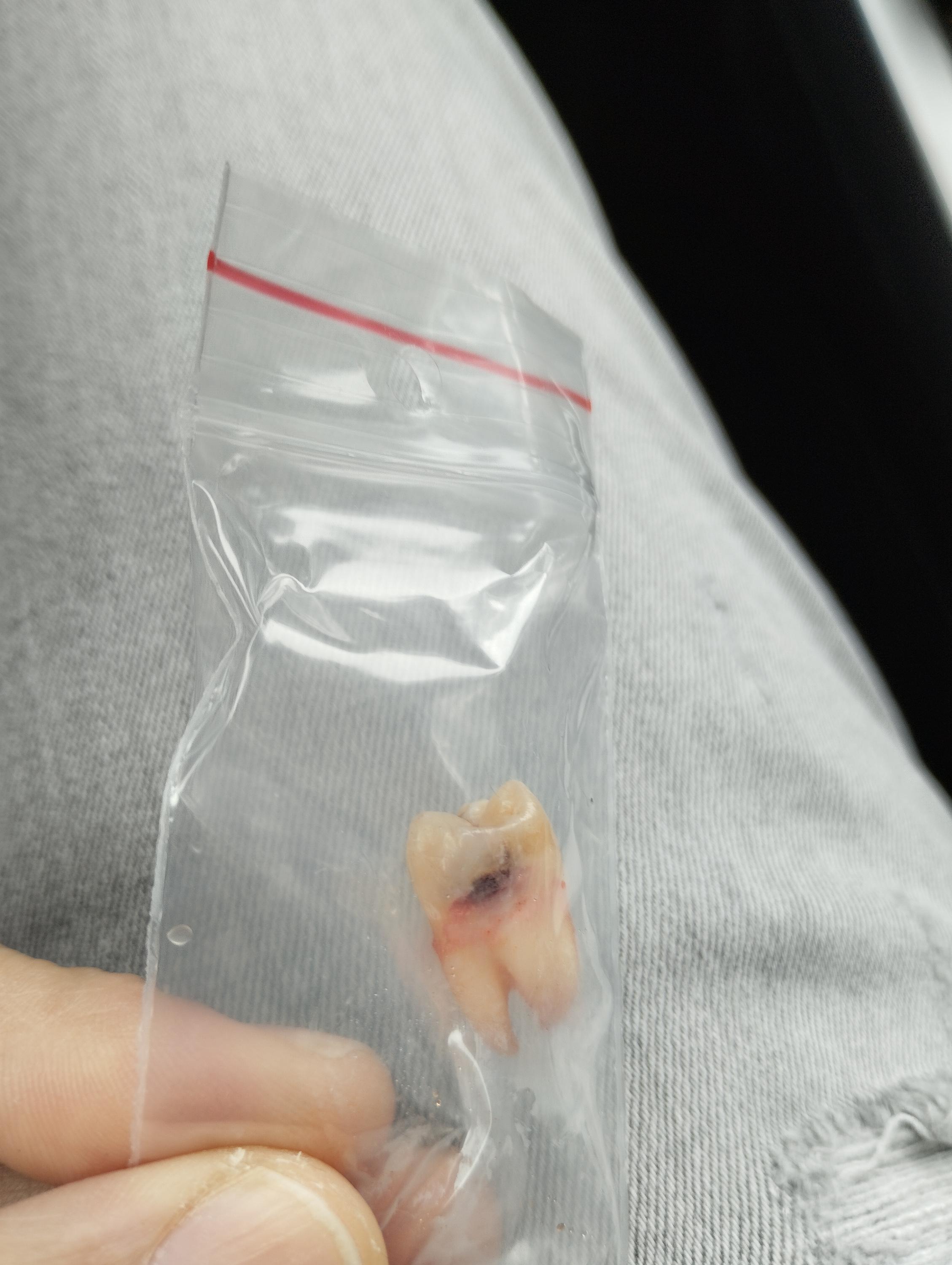 Mudr. Pavel Jech foto 2