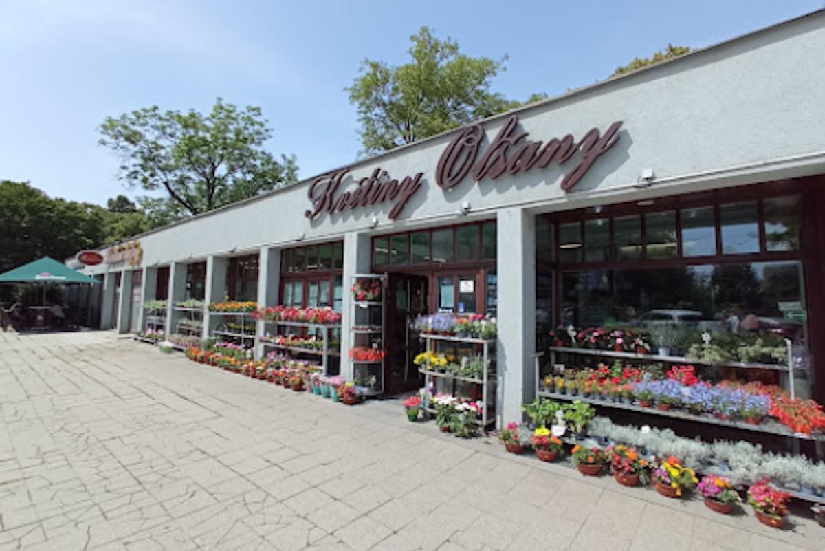 Květiny Olšany - Pavel Šticha