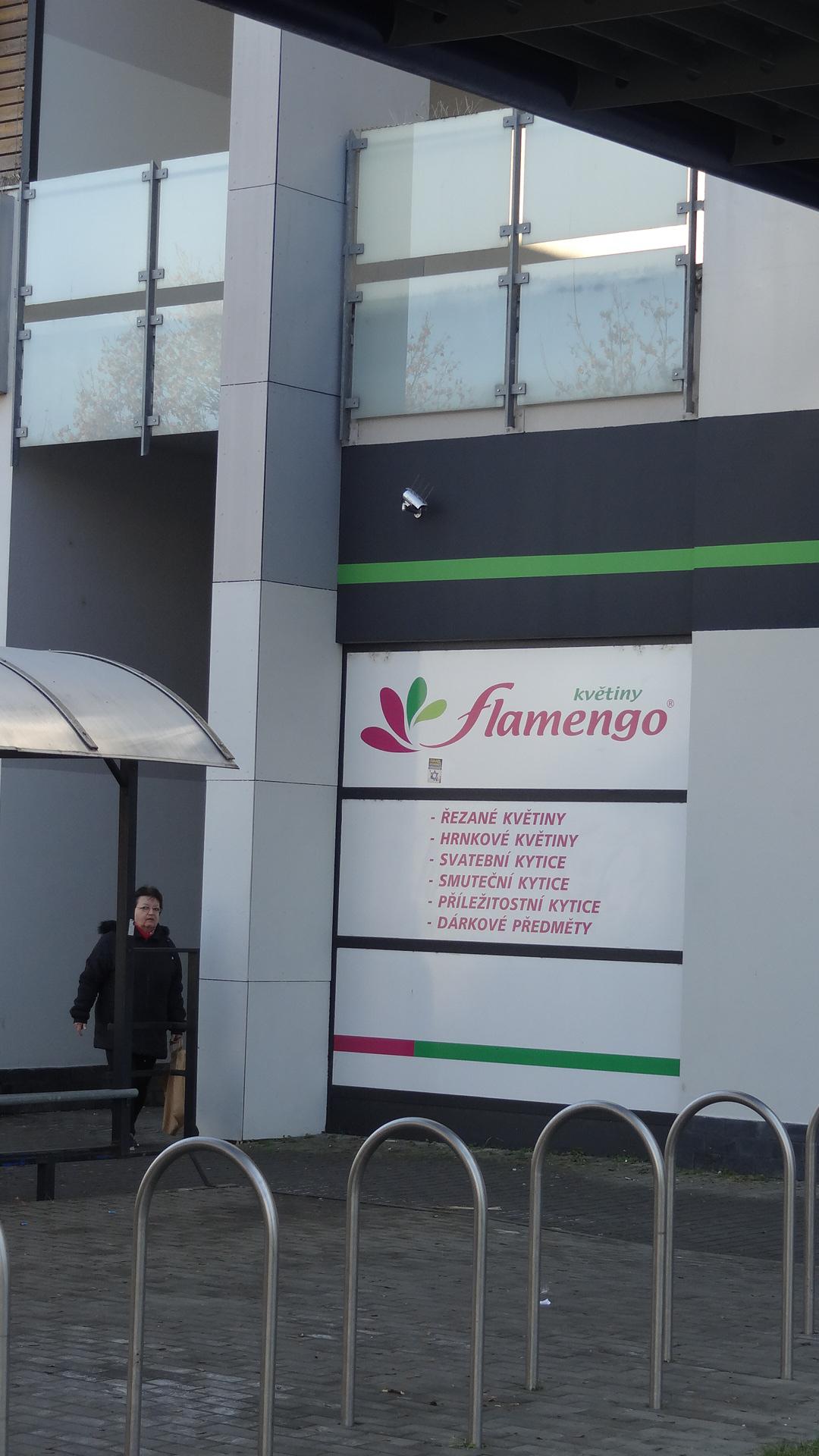 Flamengo květiny foto 2