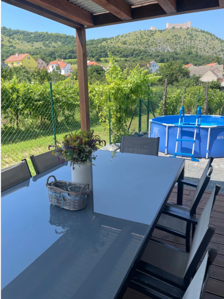 Vila Henrieta Pavlov foto 2