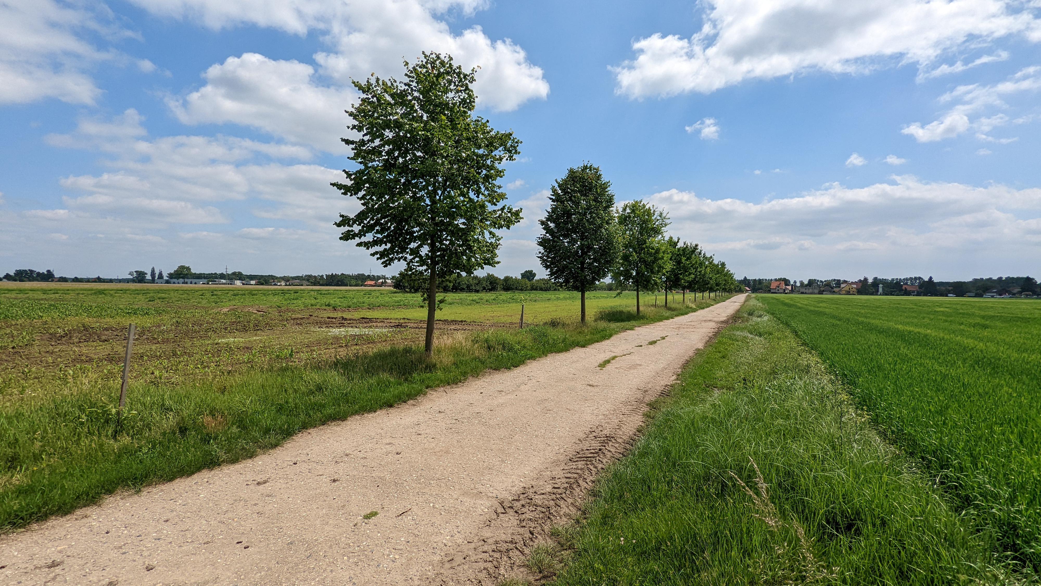 Sběrný dvůr Písková Lhota foto 2