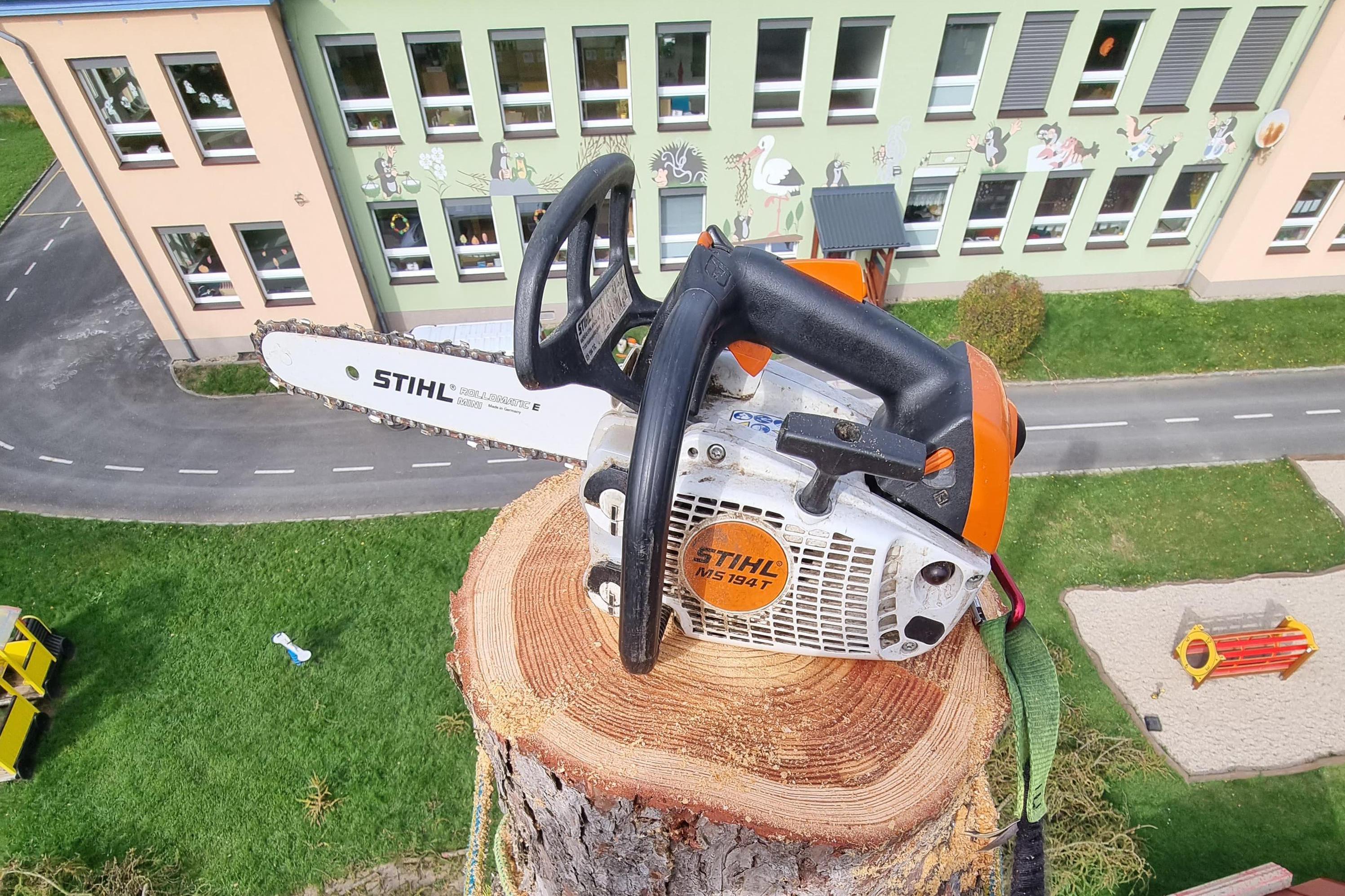 Kácení a ořezávání stromů