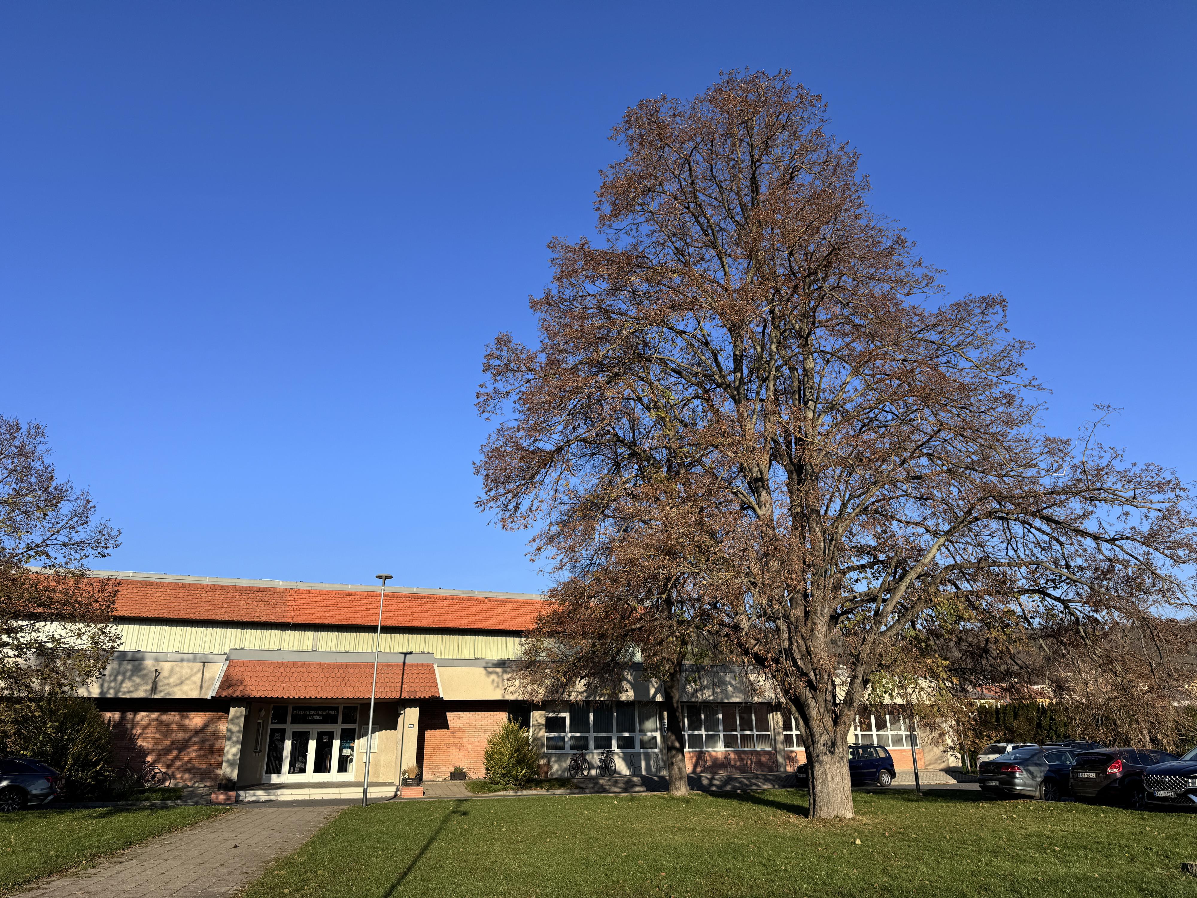 Městská sportovní hala Ivančice foto 3