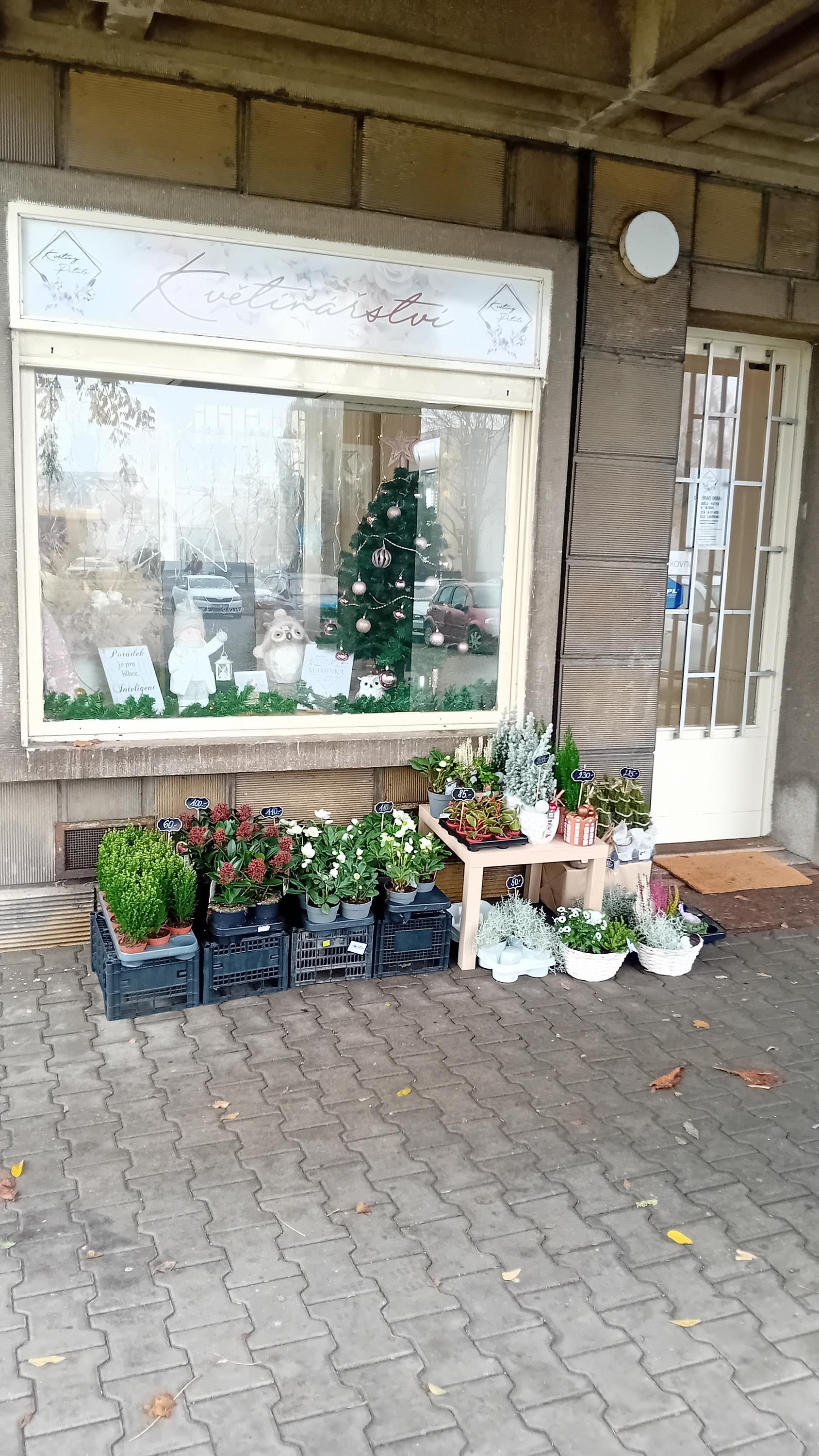 Květiny Peťule foto 4