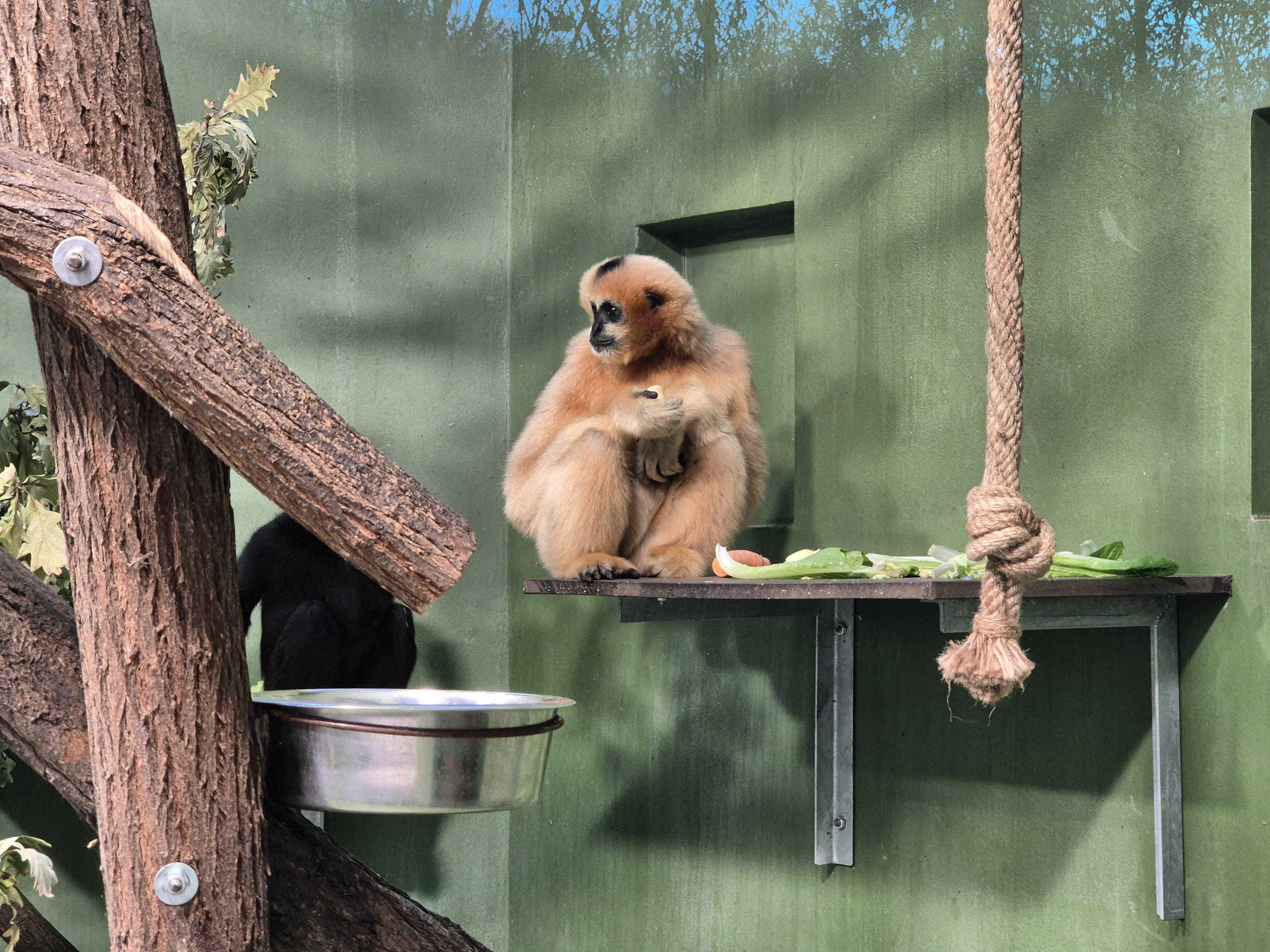 Zoo Plzeň foto 4