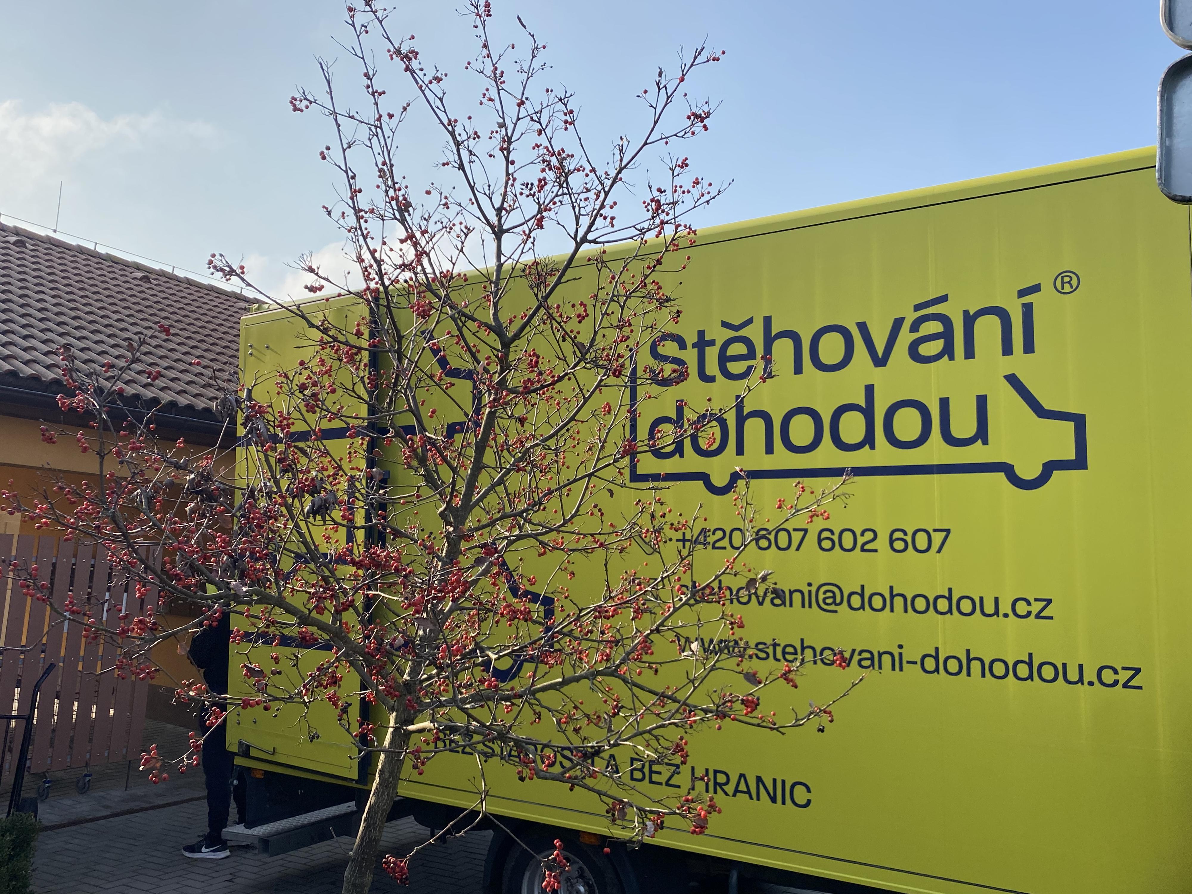 Levné stěhování dohodou.cz foto 2
