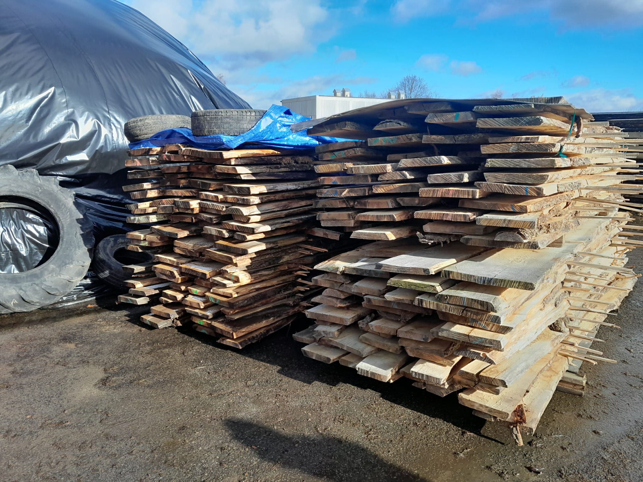 Jiří Müller - Design of oak wood foto 3