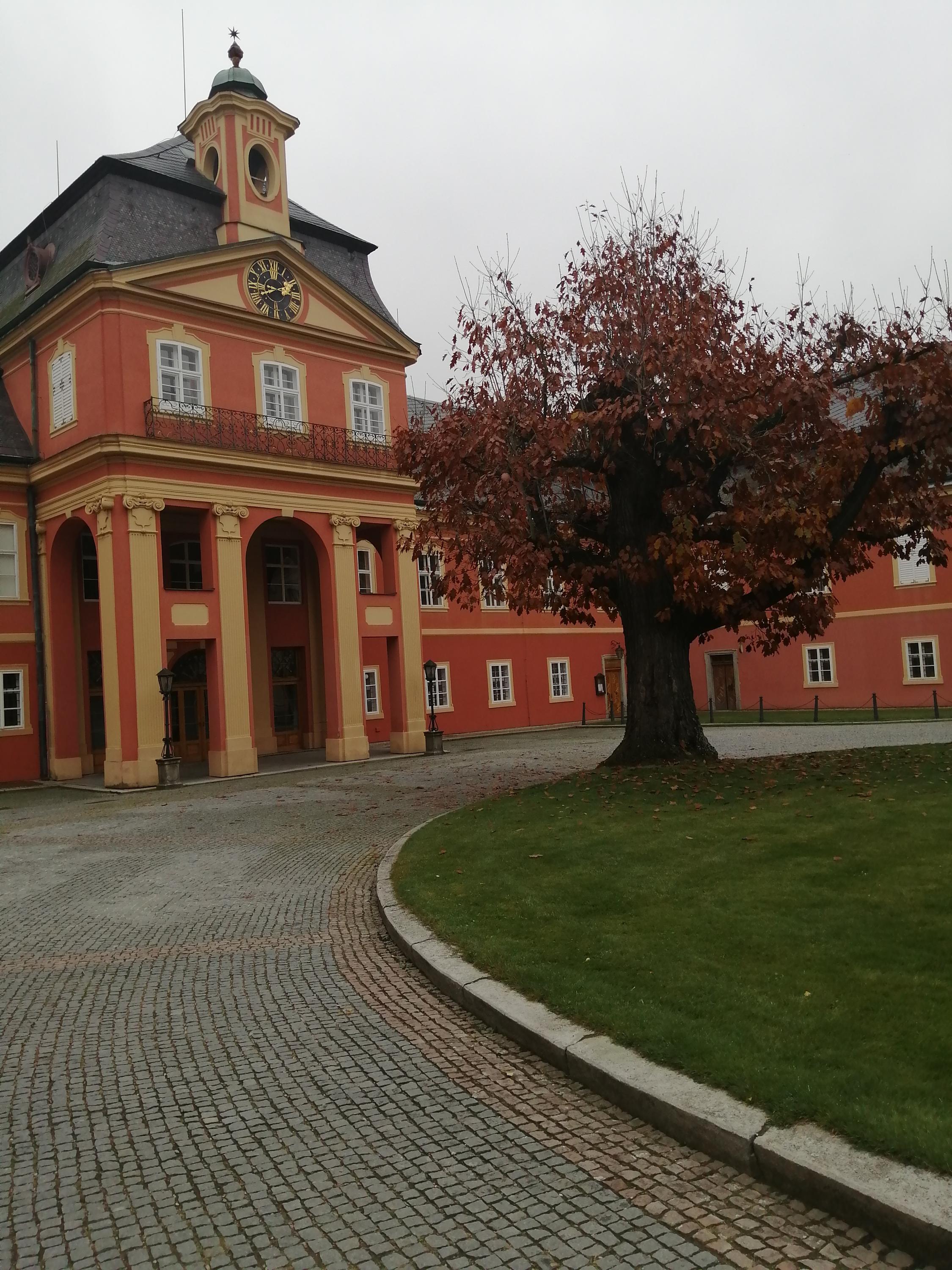 Hotel Garni - Zámek Dobříš foto 3