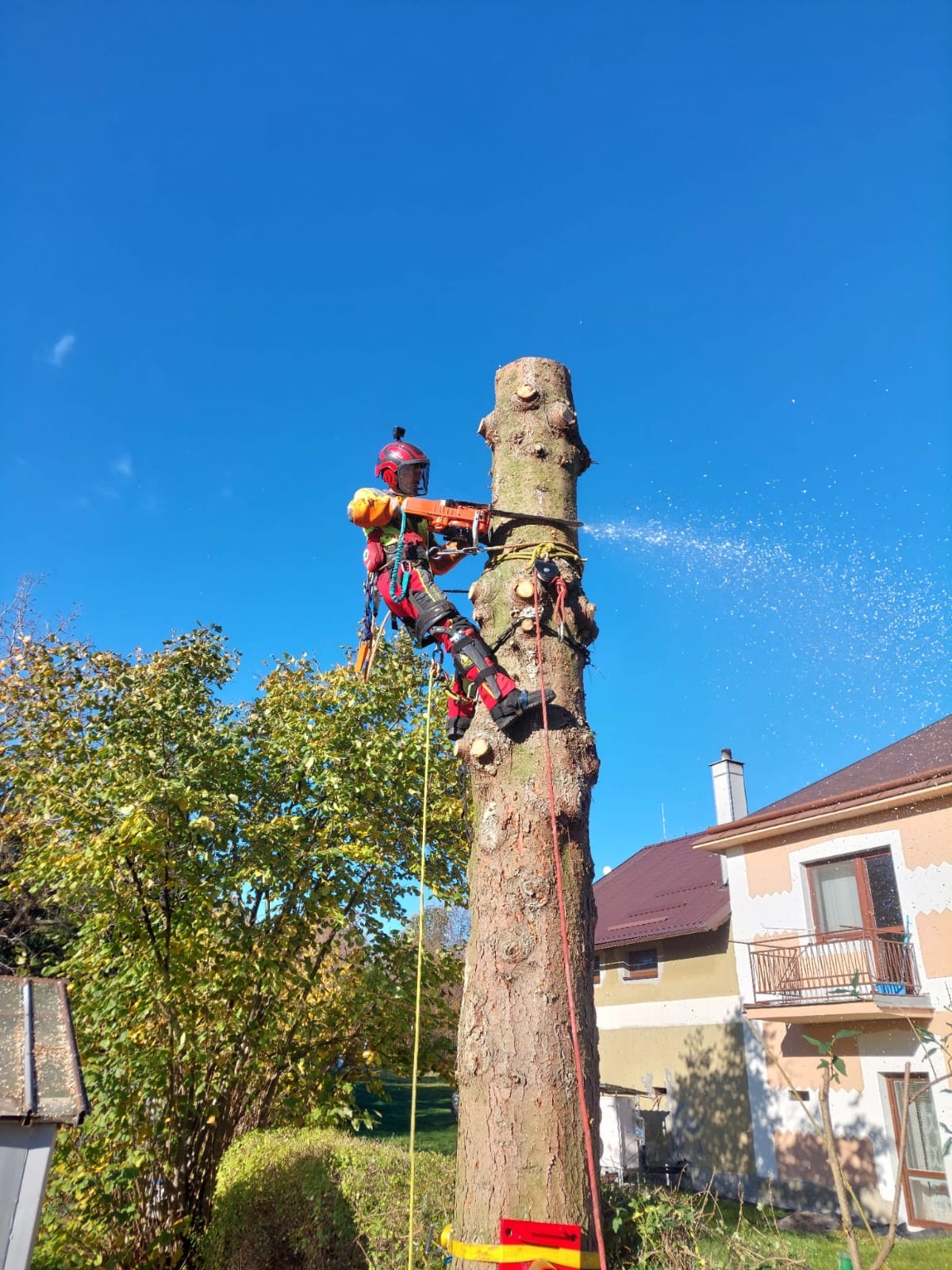 Arboristické práce,rizikové kácení-Jaroslav Kovář foto 5