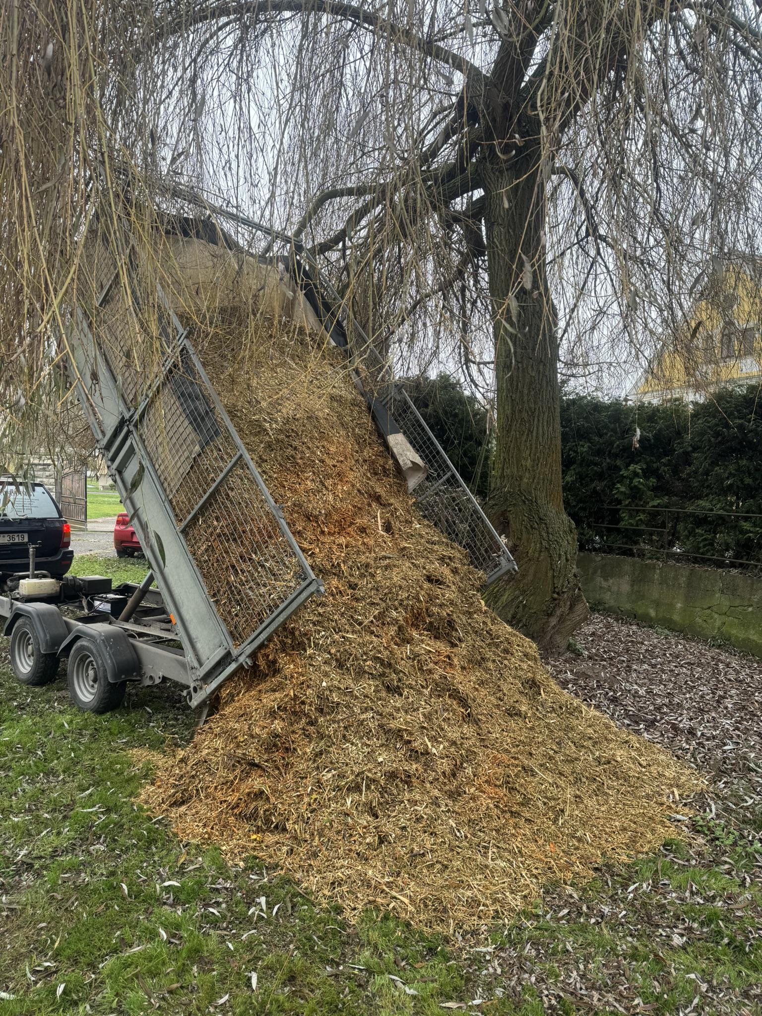 Rizikové kácení - stromolezectví Radek Piskač foto 6