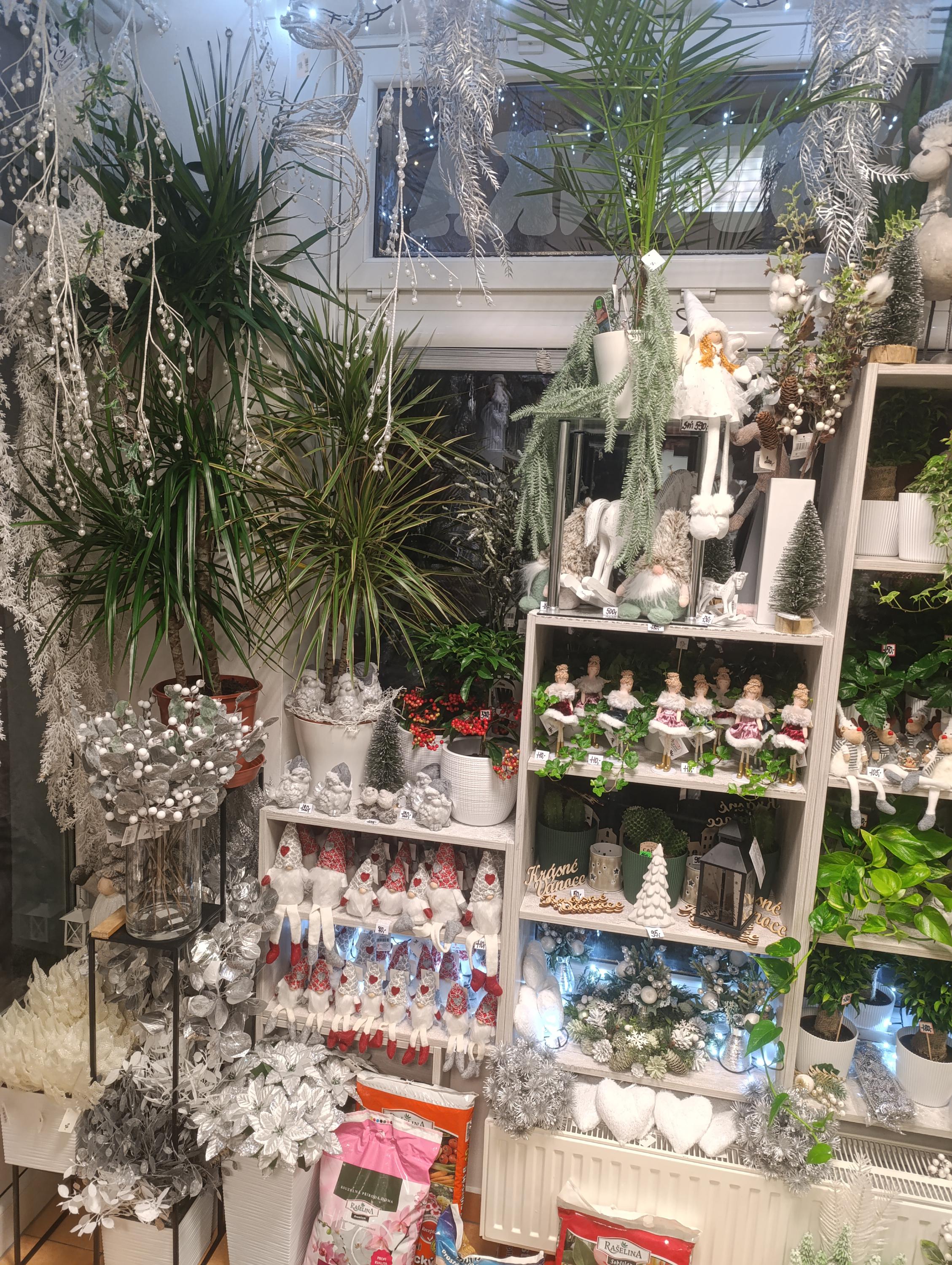 Květinářství Kristýnka foto 2