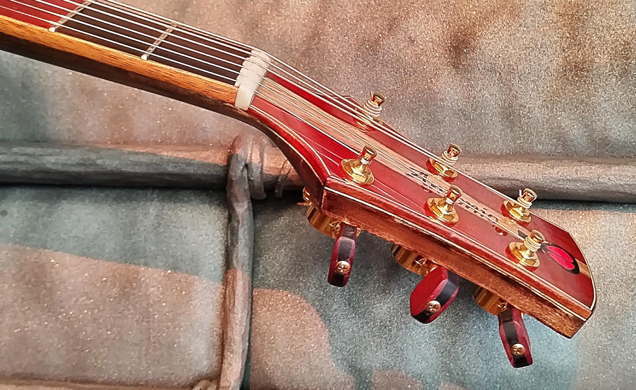 Fröhlich guitars foto 6