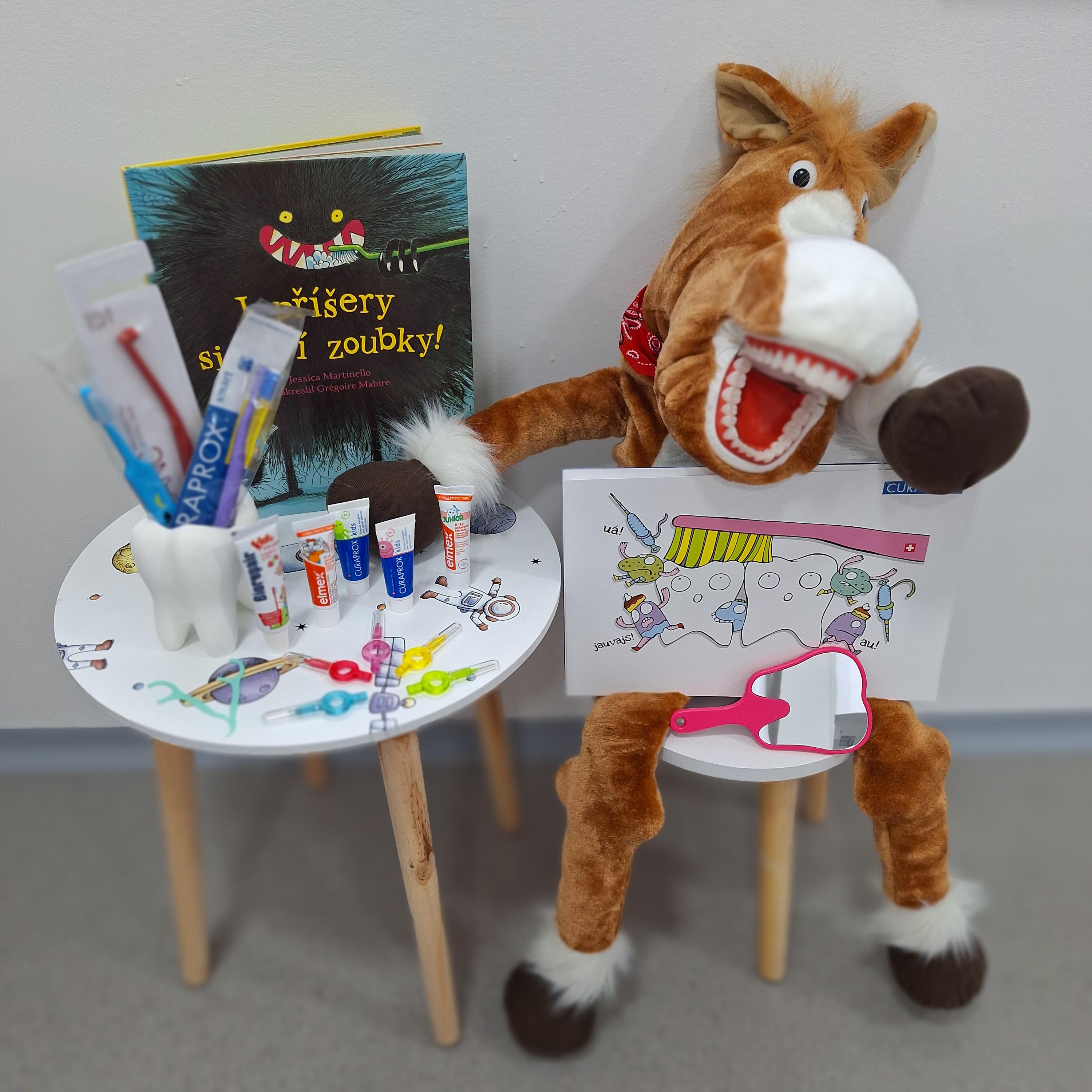 Dentální hygiena Stochov - Barbora Štrobachová foto 2