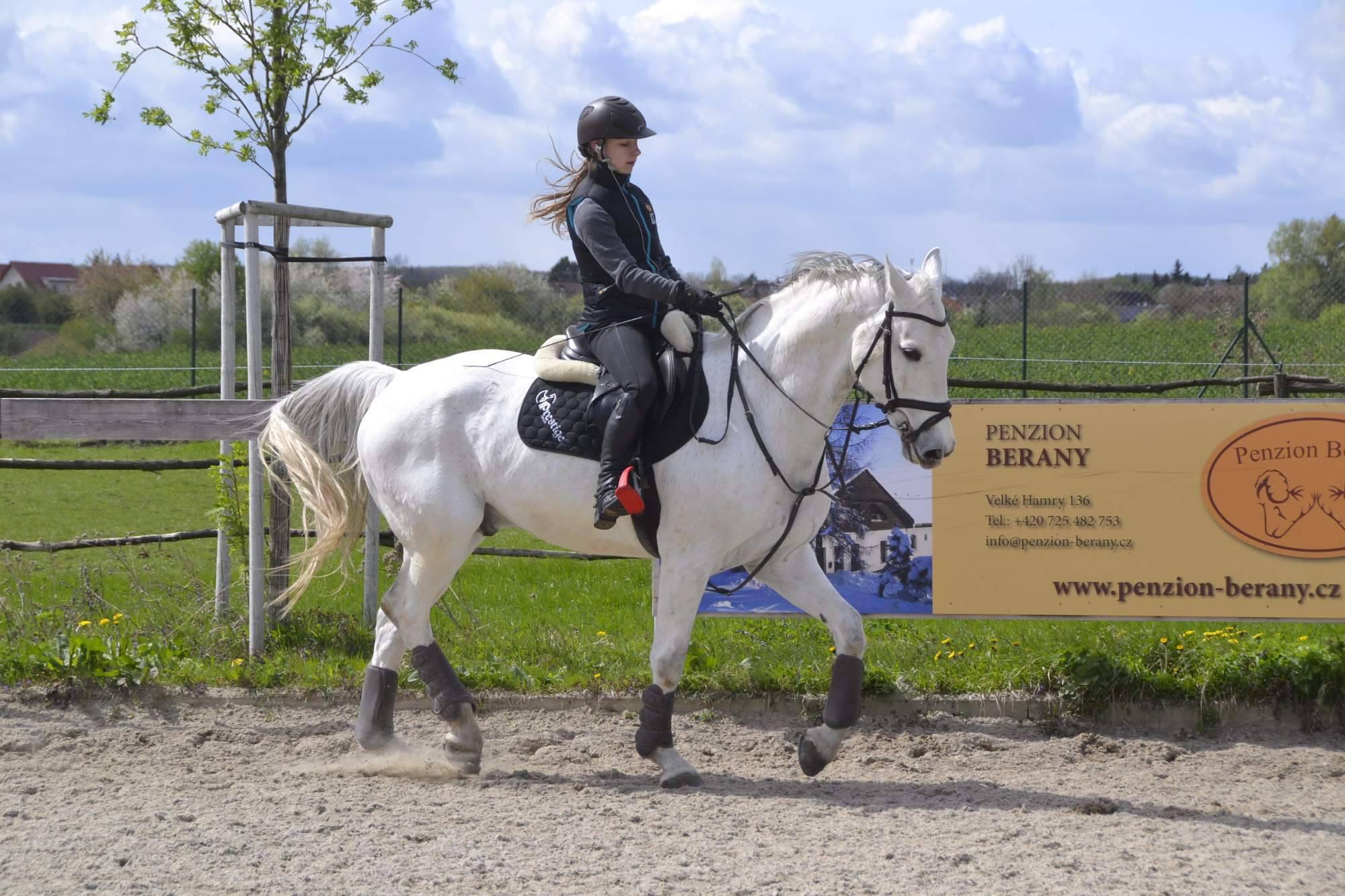 Pony Park jezdecká školička, akademie foto 5