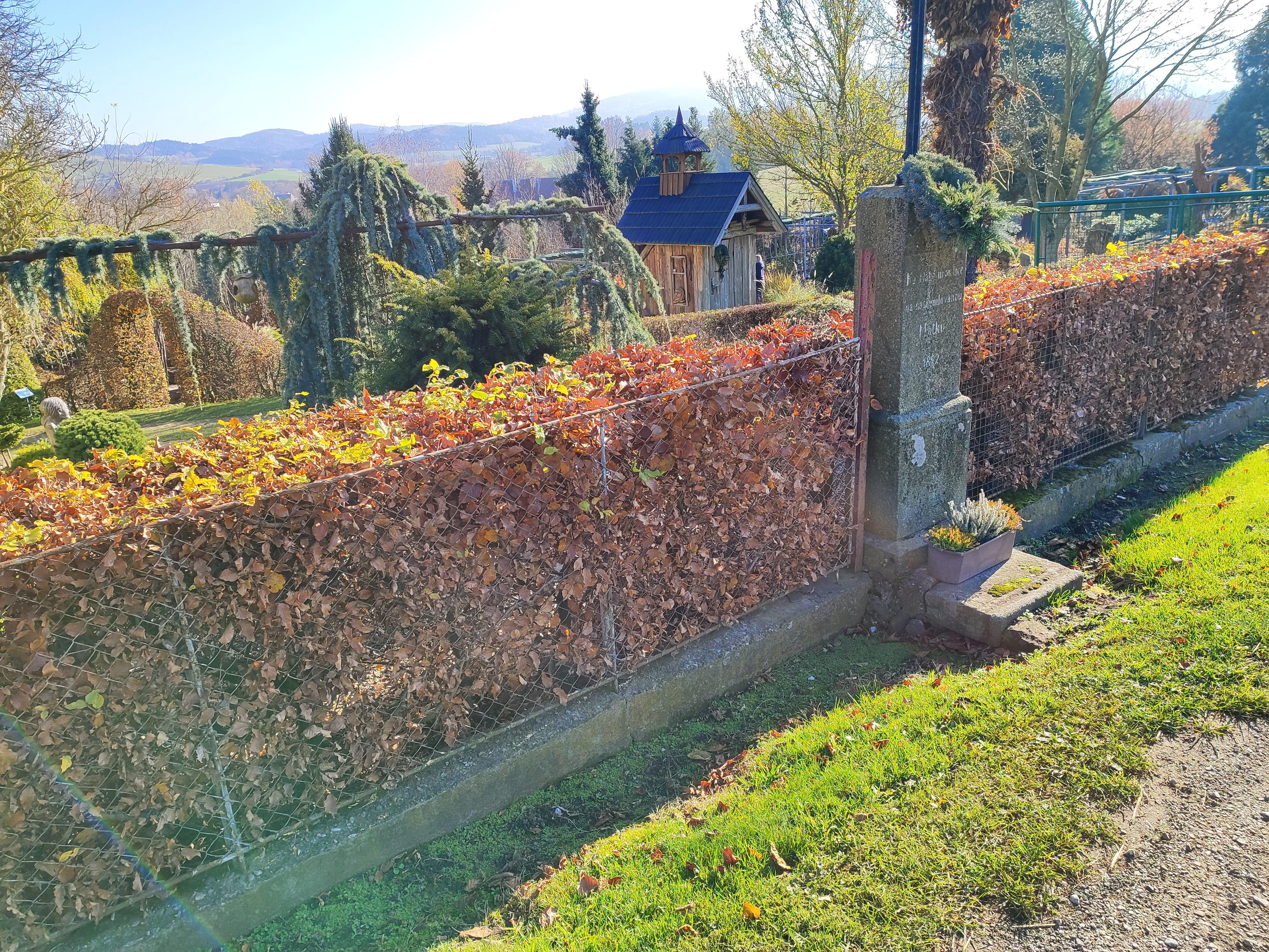 Pavel Vavřinec - zahradnictví foto 2