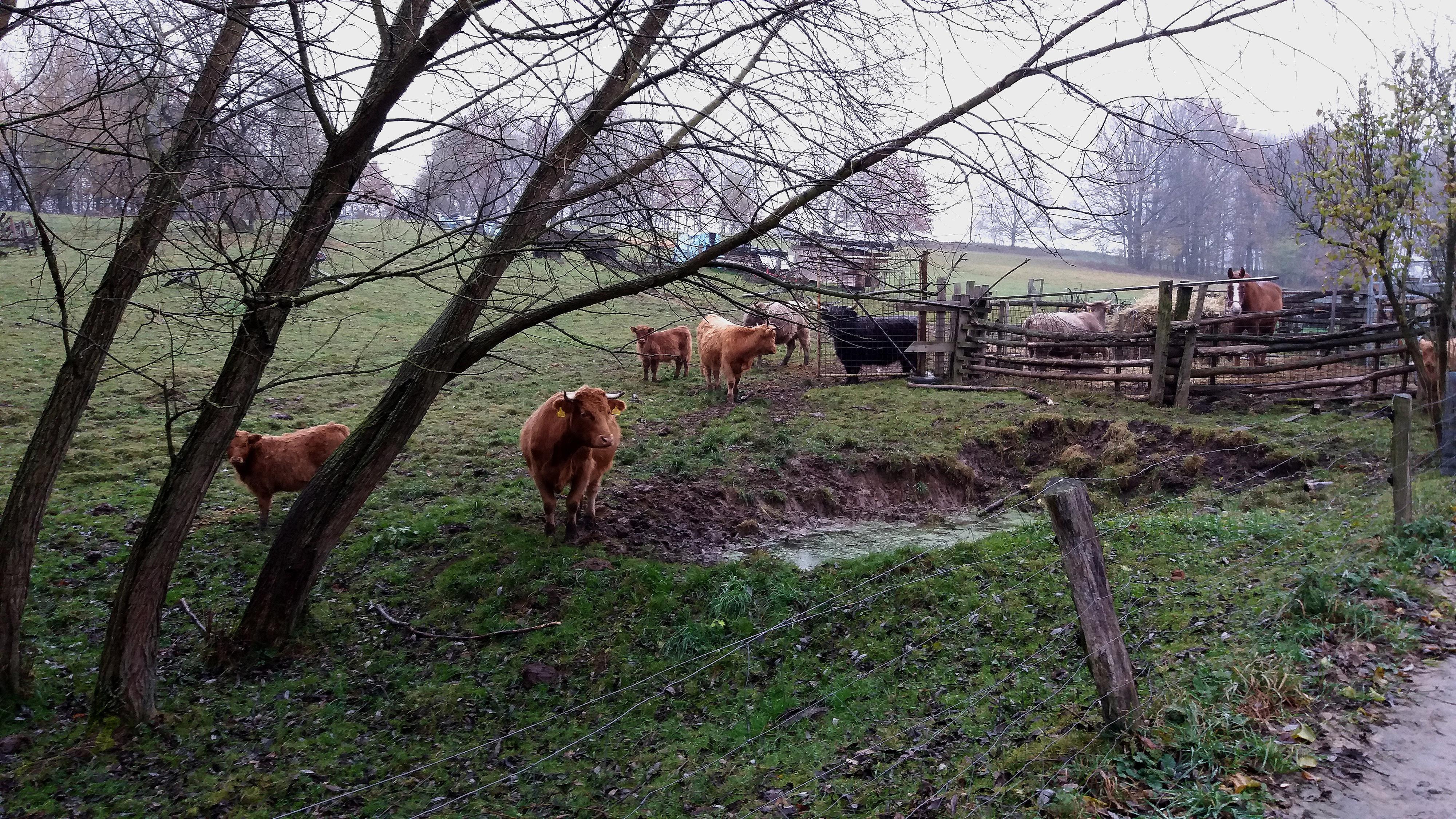 Wohlmannův statek foto 4