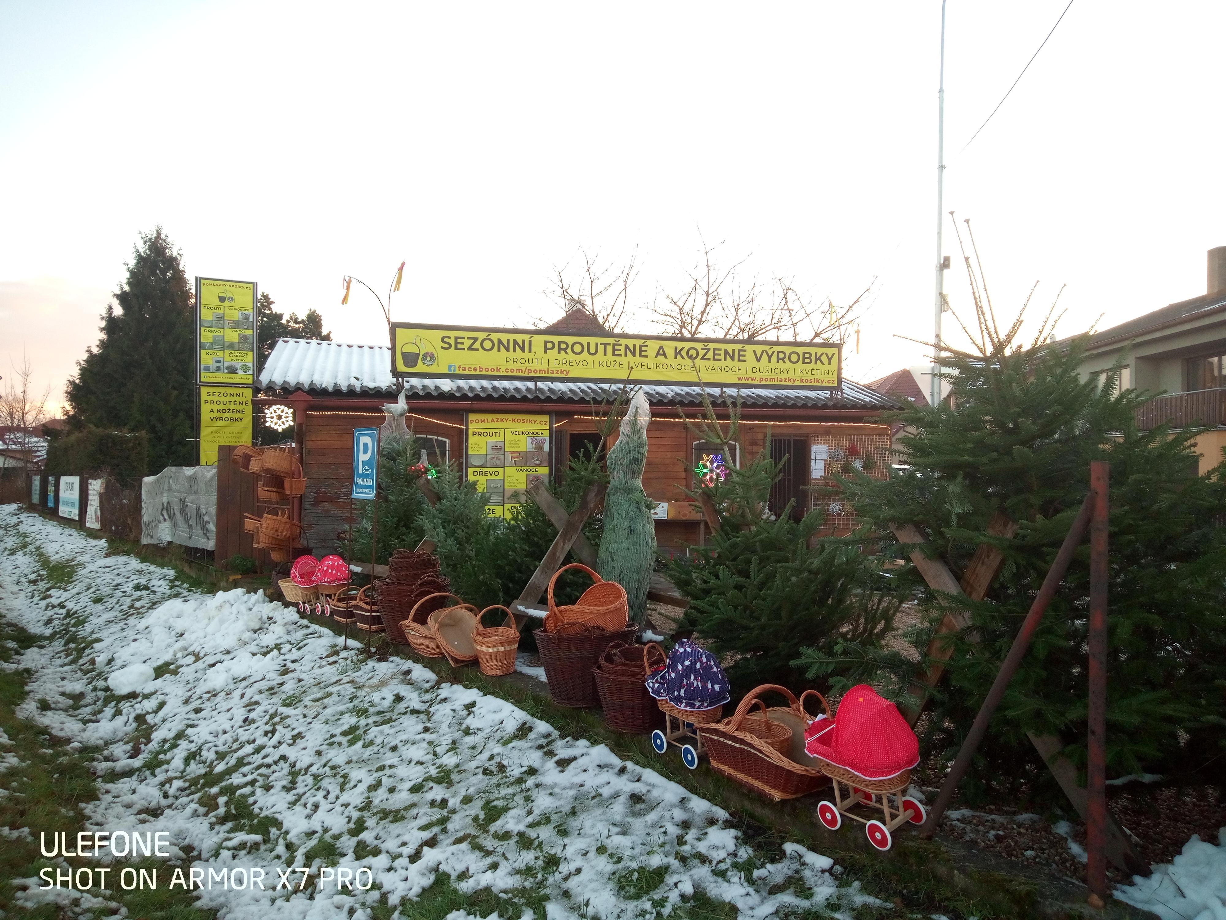 Pomlazky-kosiky.cz foto 2