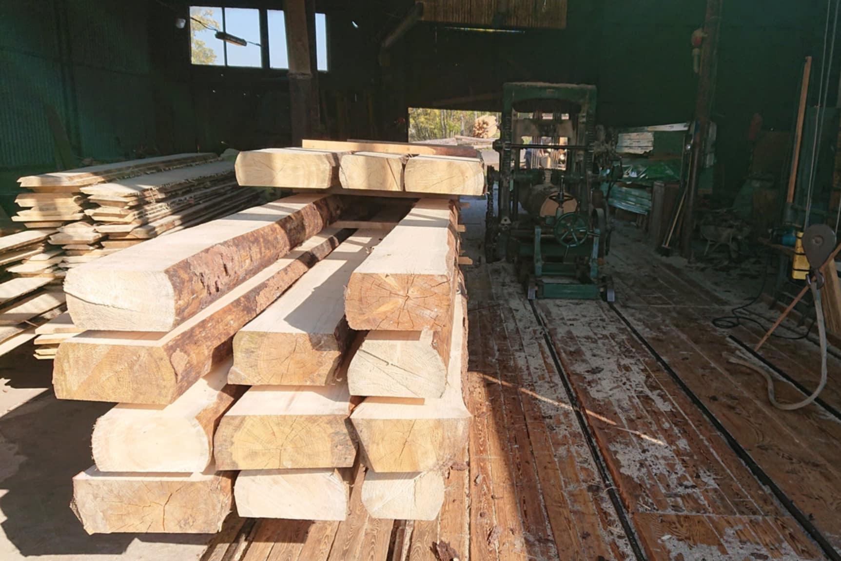 Jaromír Pavlíček - PILA DYJICE