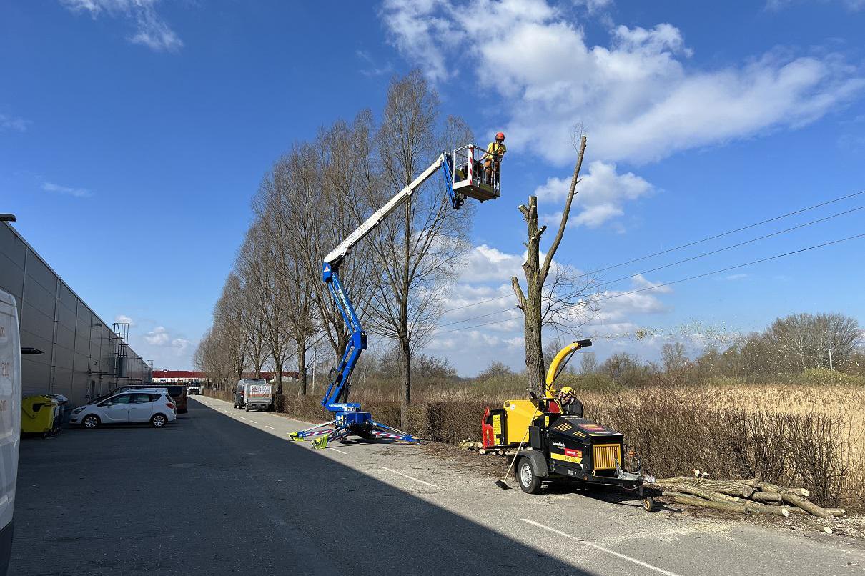 AlpinicTREE - Arboristika a rizikové kácení stromů