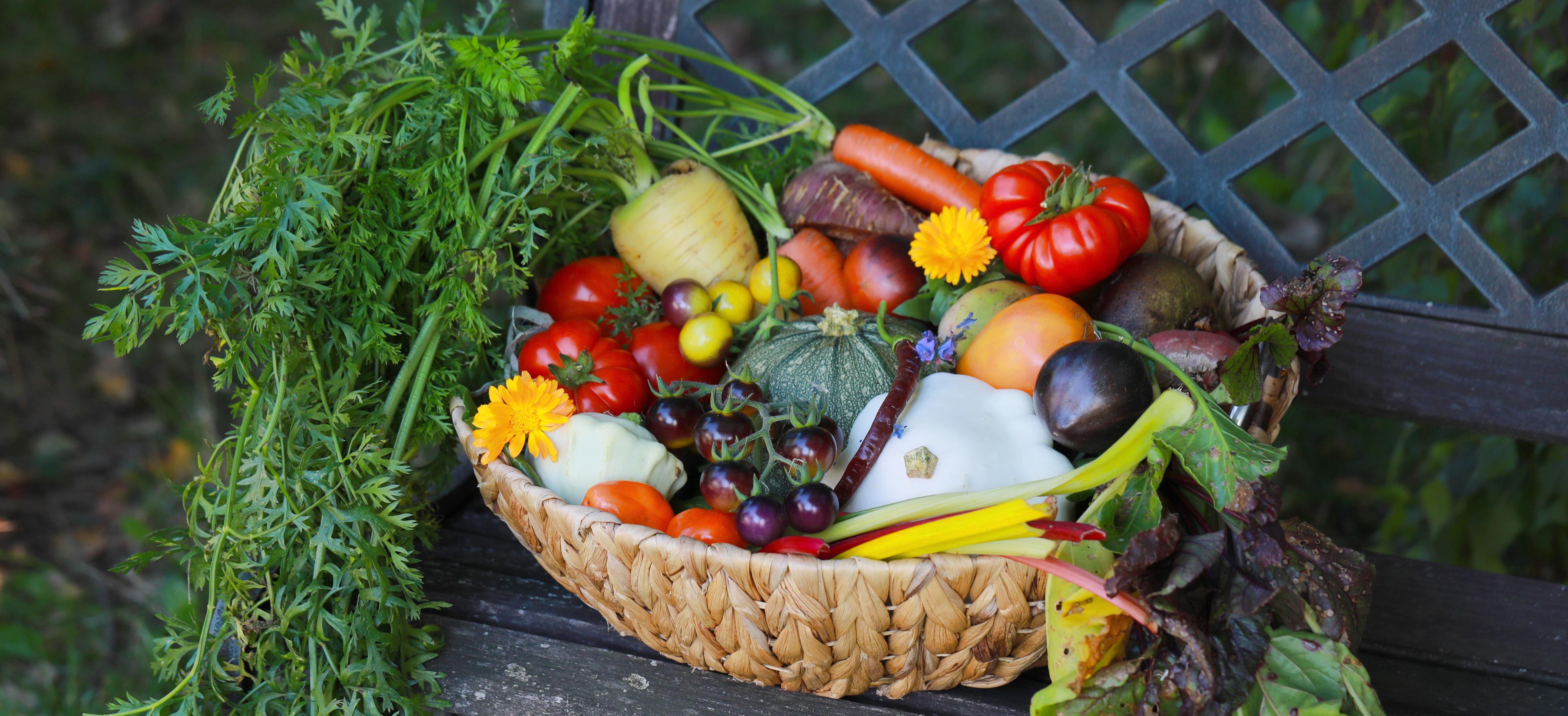 Zahradaprozdravi.cz foto 2