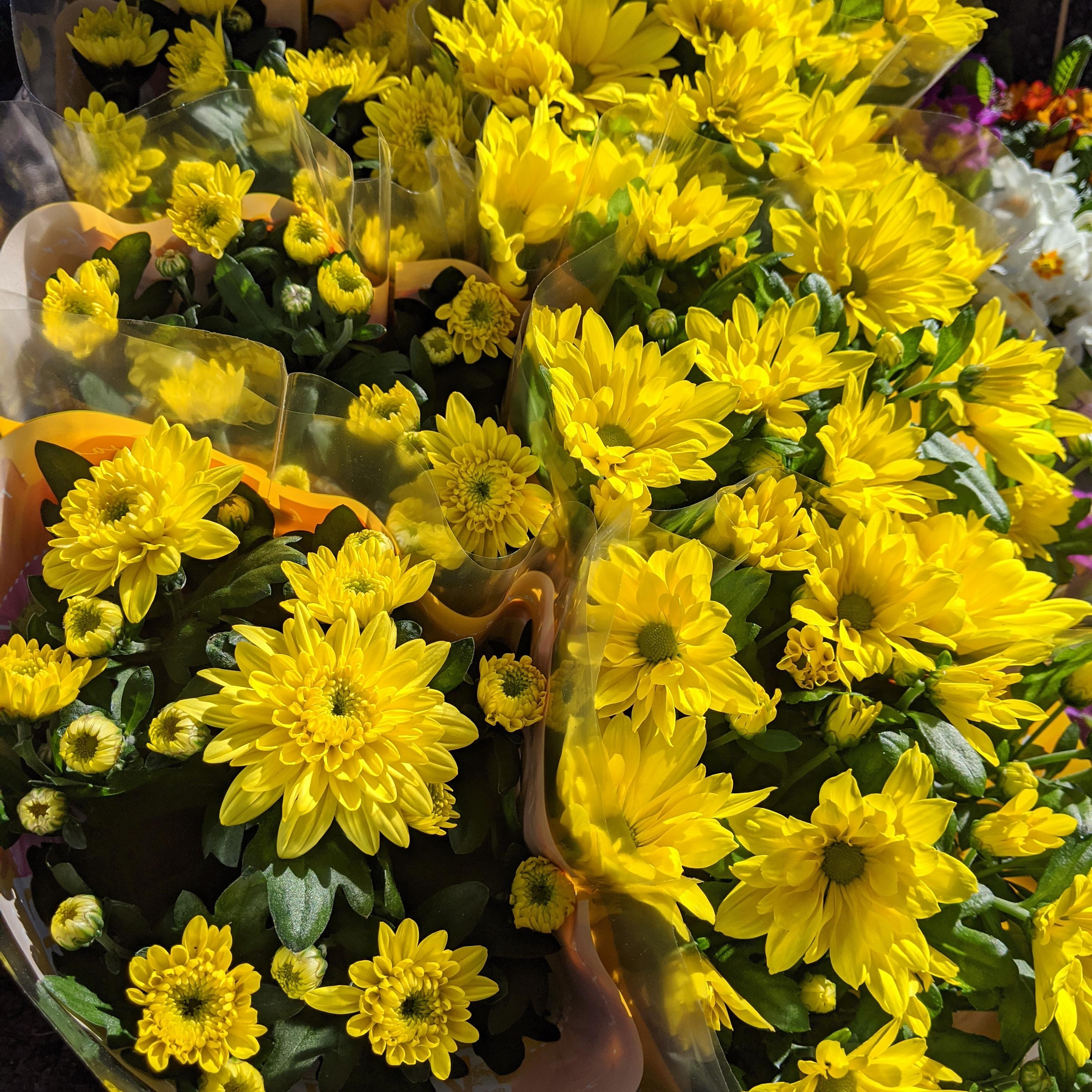 Pohřební služba Thanatos foto 5