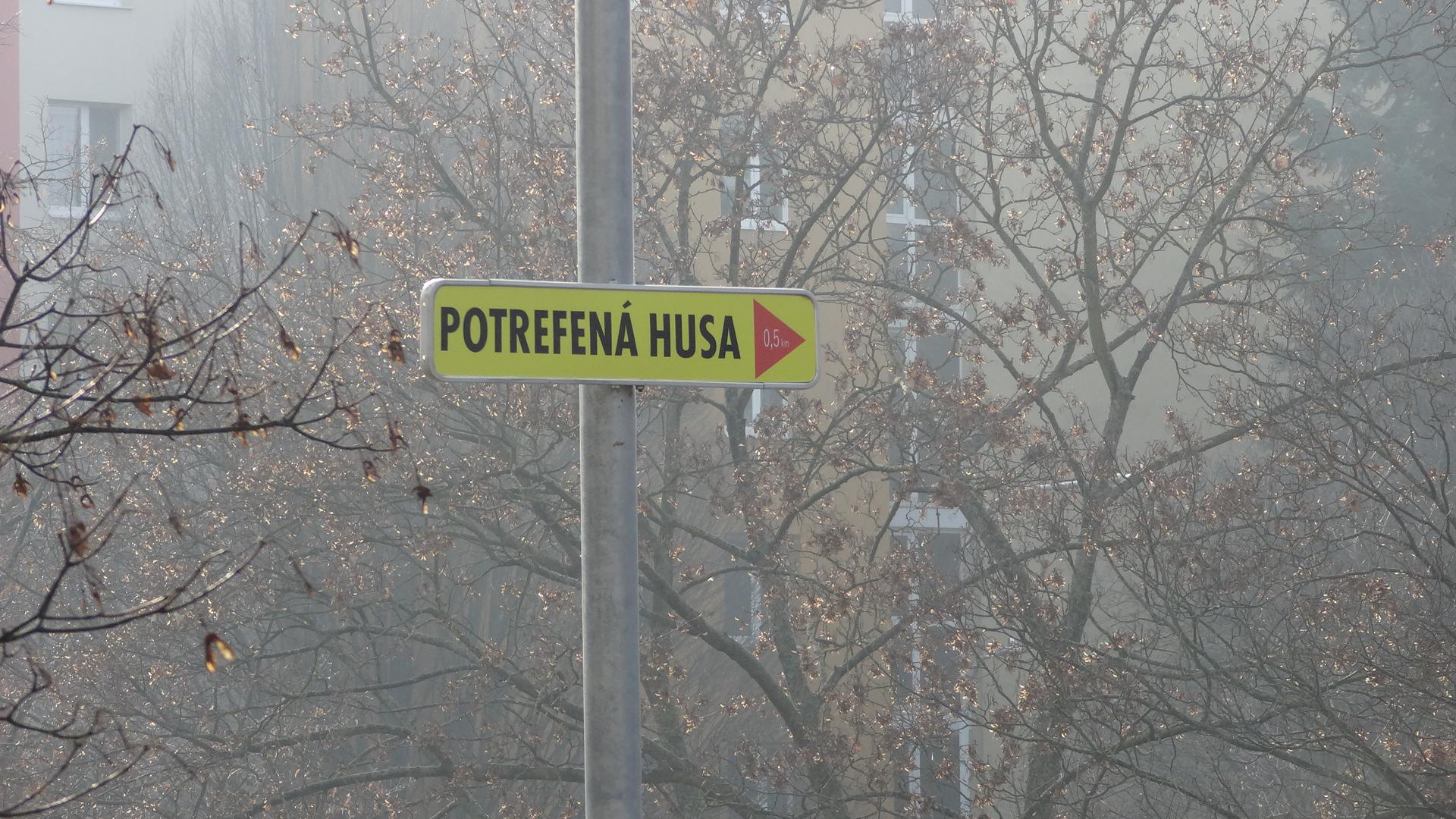 Potrefená husa Starý Lískovec foto 6