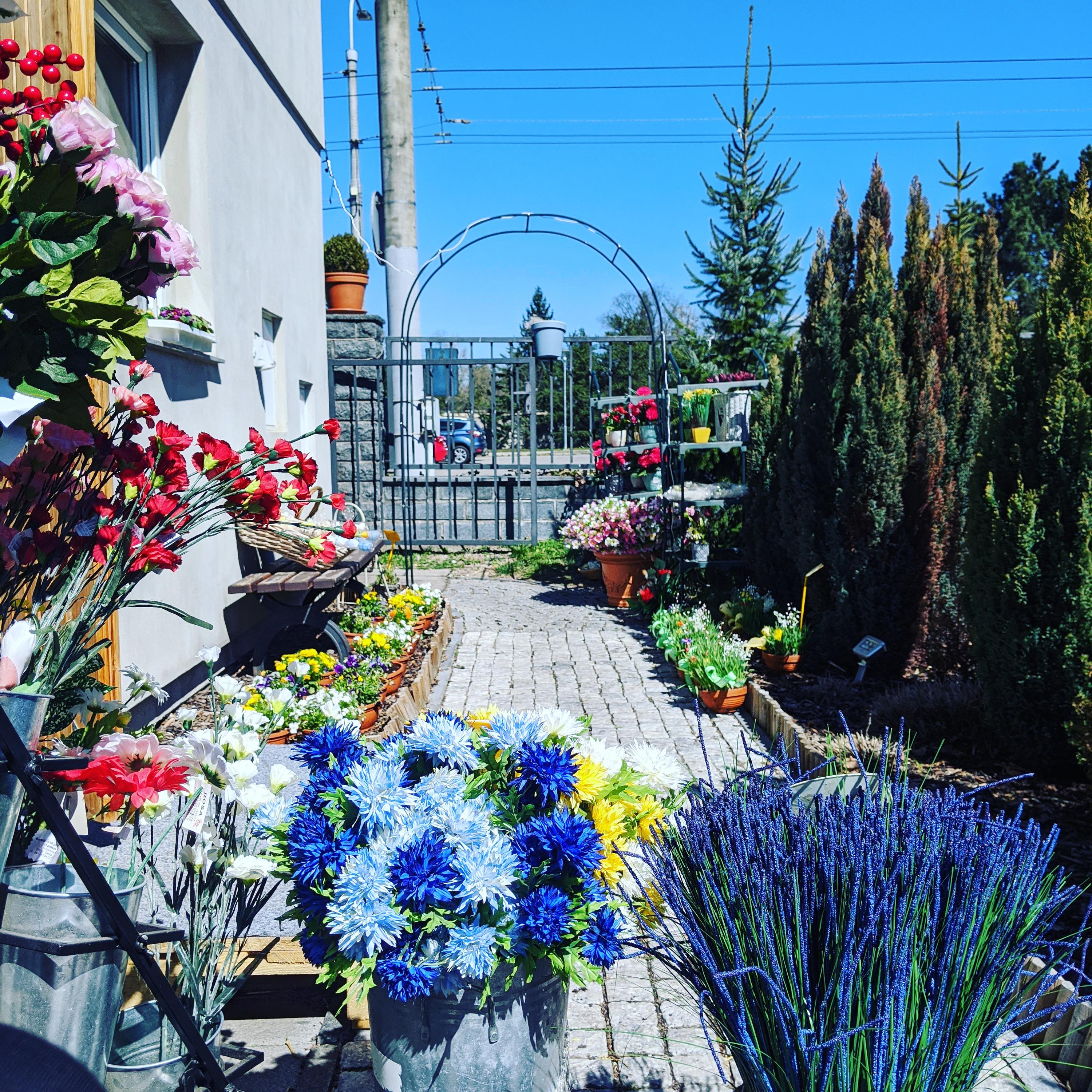 Pohřební služba Thanatos foto 4