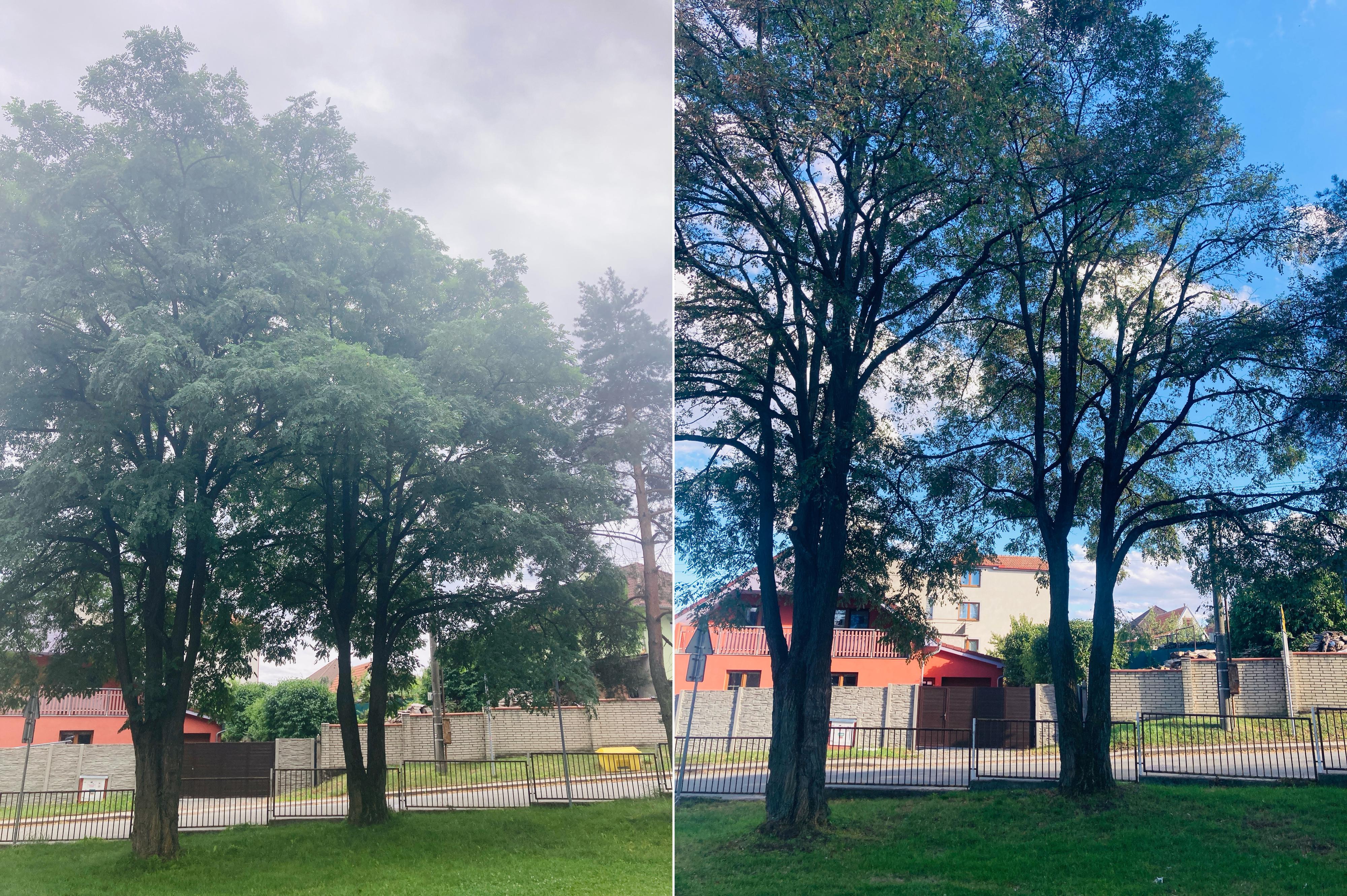 KOMPLEXARBO.cz - Vojtěch Vágner foto 6