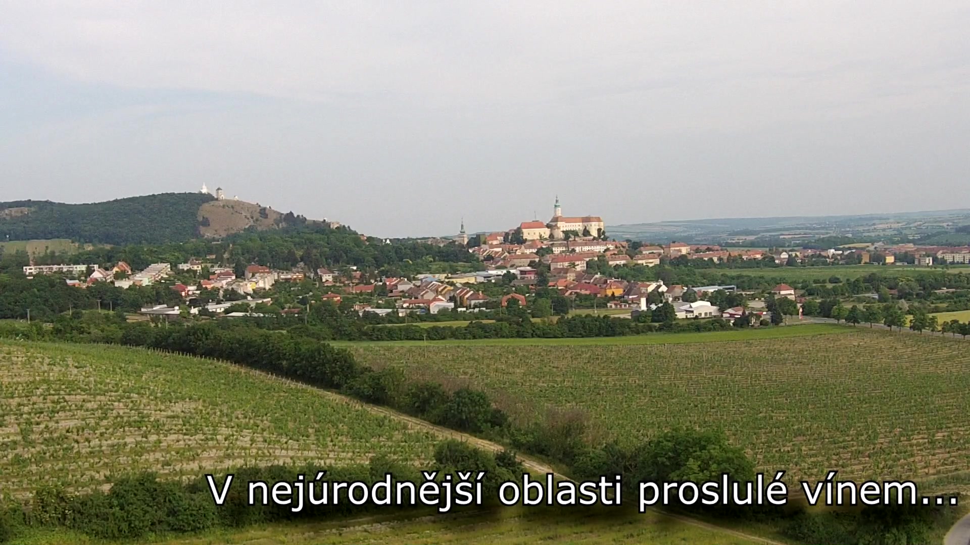 Restaurace a Vinárna Velký dvůr foto 2 (náhled videa)