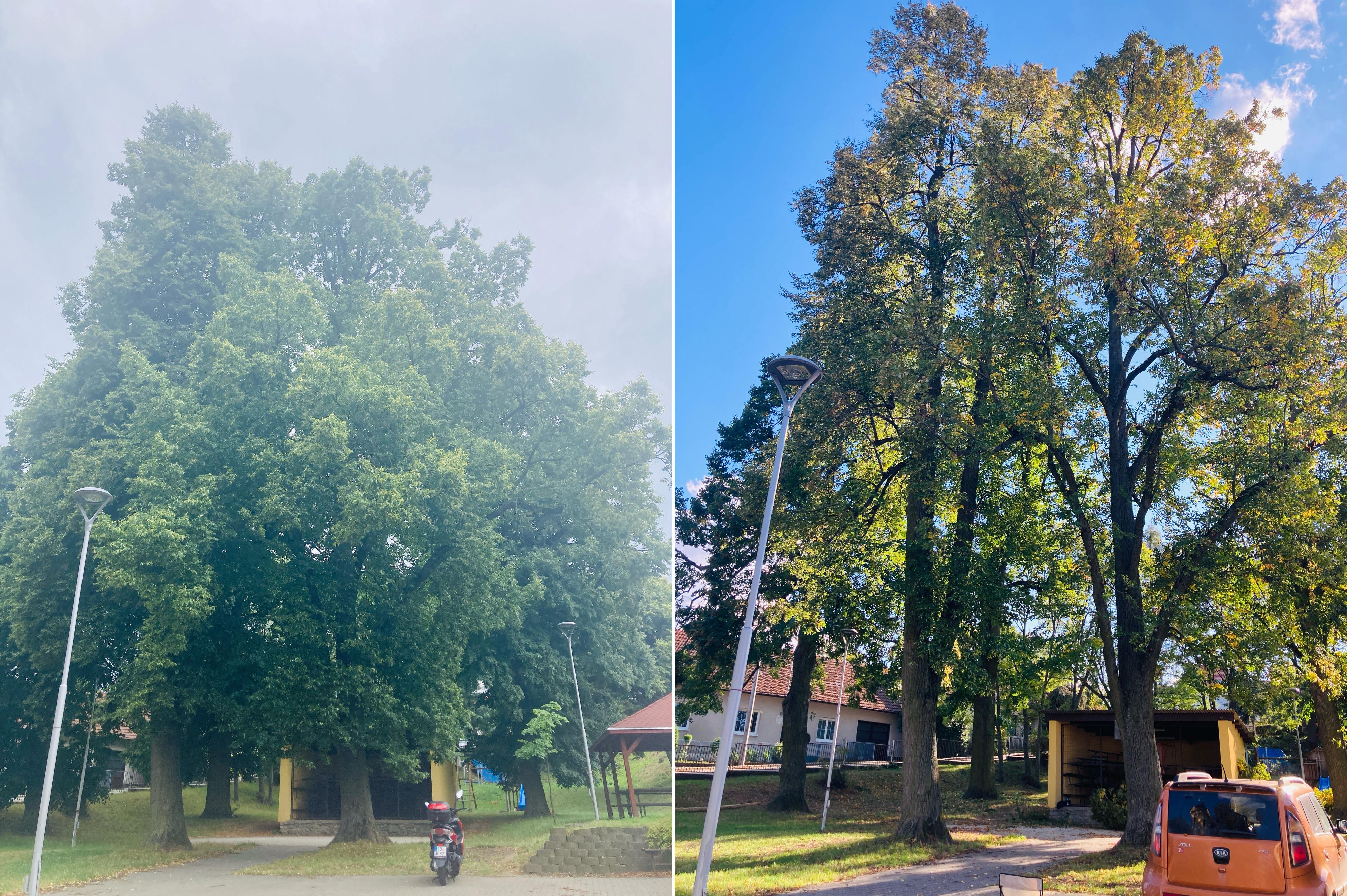KOMPLEXARBO.cz - Vojtěch Vágner foto 5