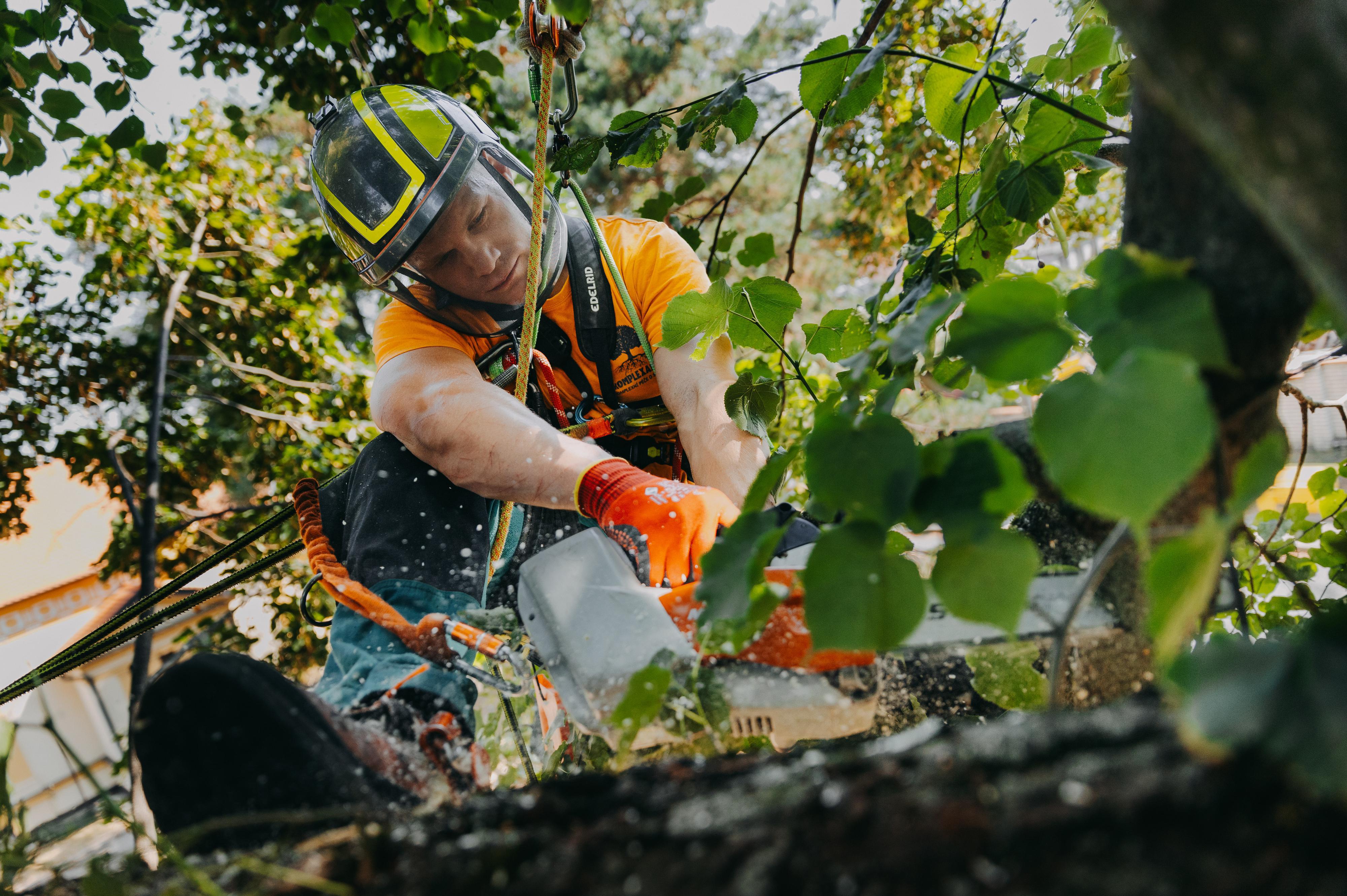 KOMPLEXARBO.cz - Vojtěch Vágner