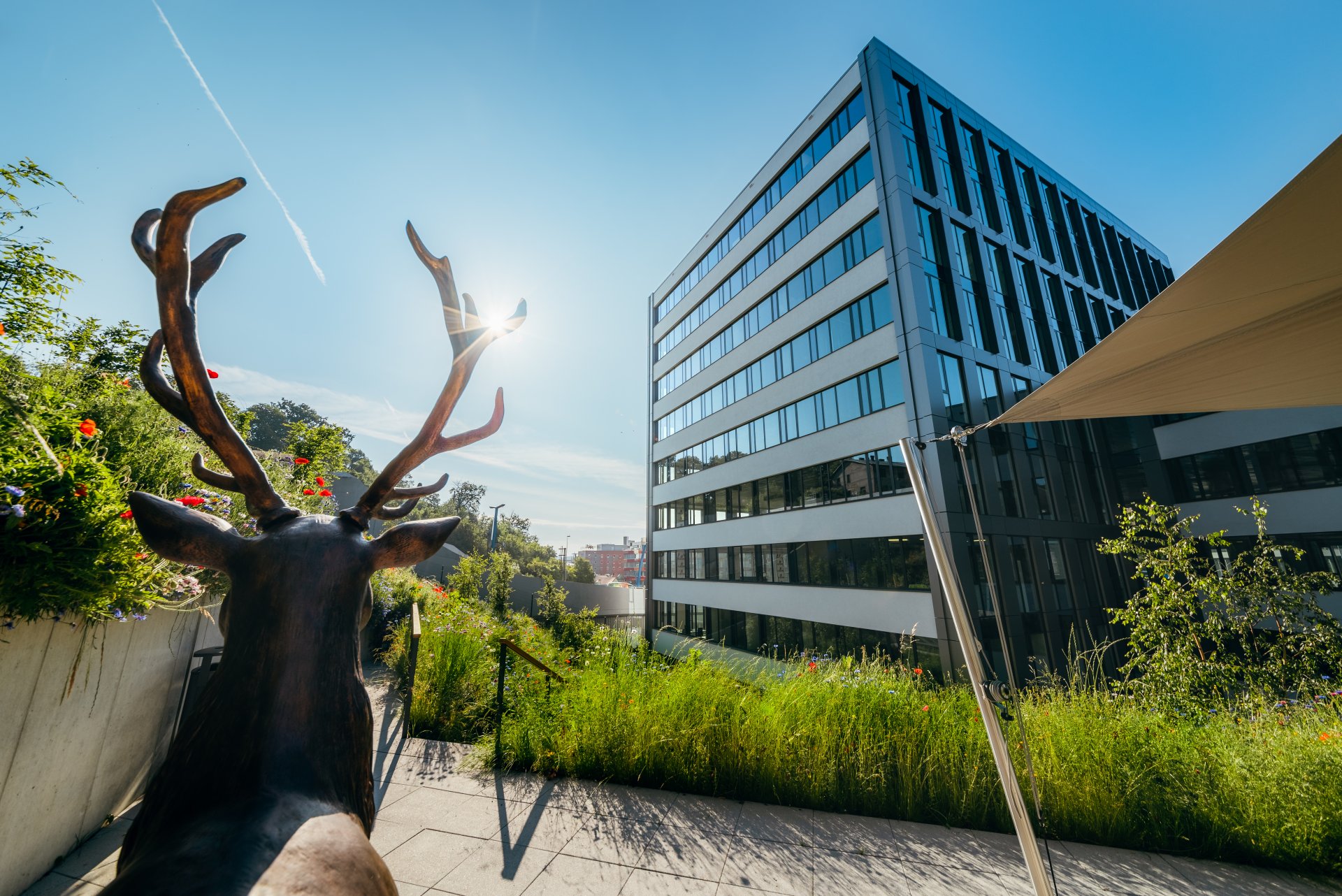 Yellow Reality s.r.o. foto 4