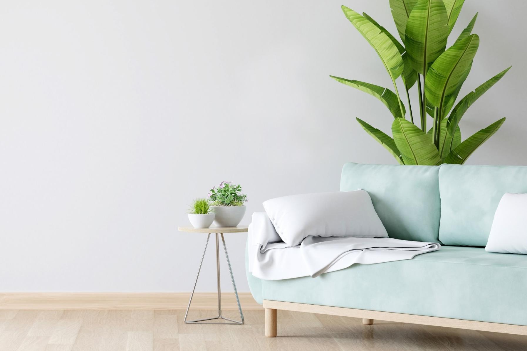 Systémy pro Zdravé bydlení