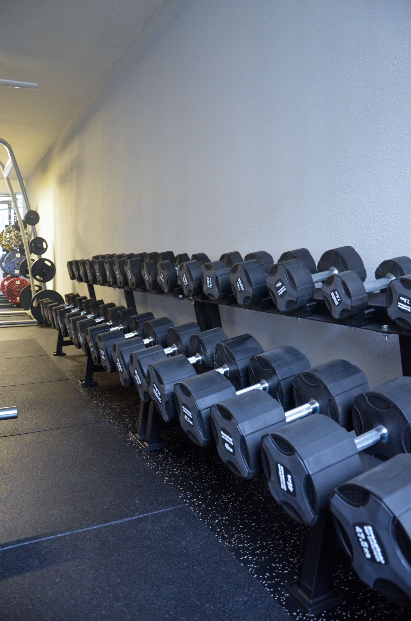 Gym Rat Family foto 4