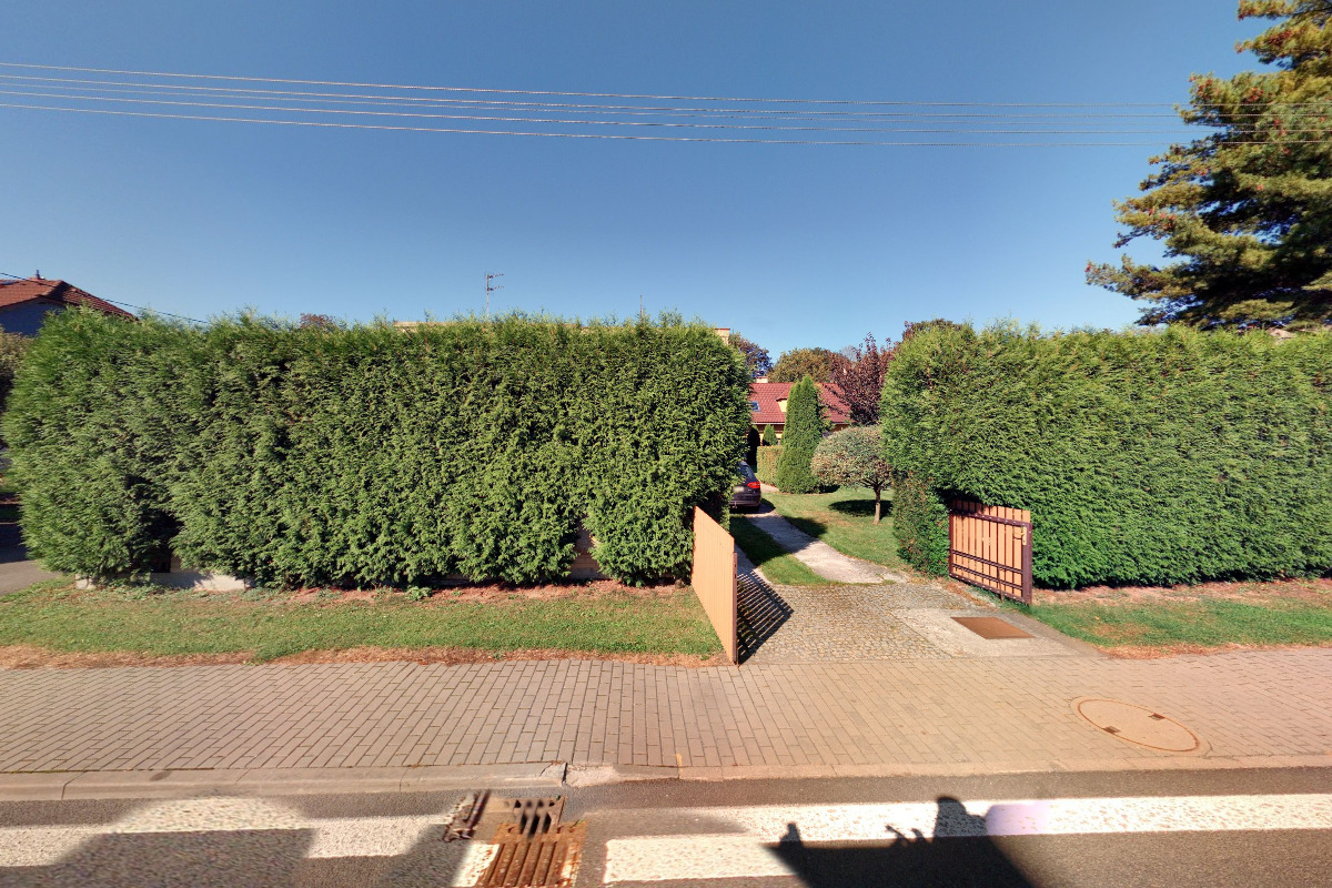 Zmrzlina u Toma foto 1