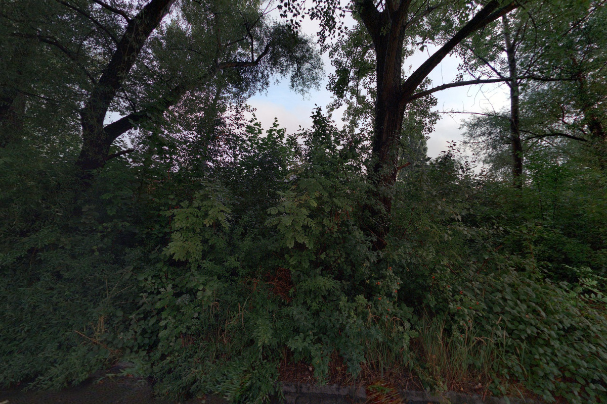 Sběrna VAVKOV s.r.o. foto 5