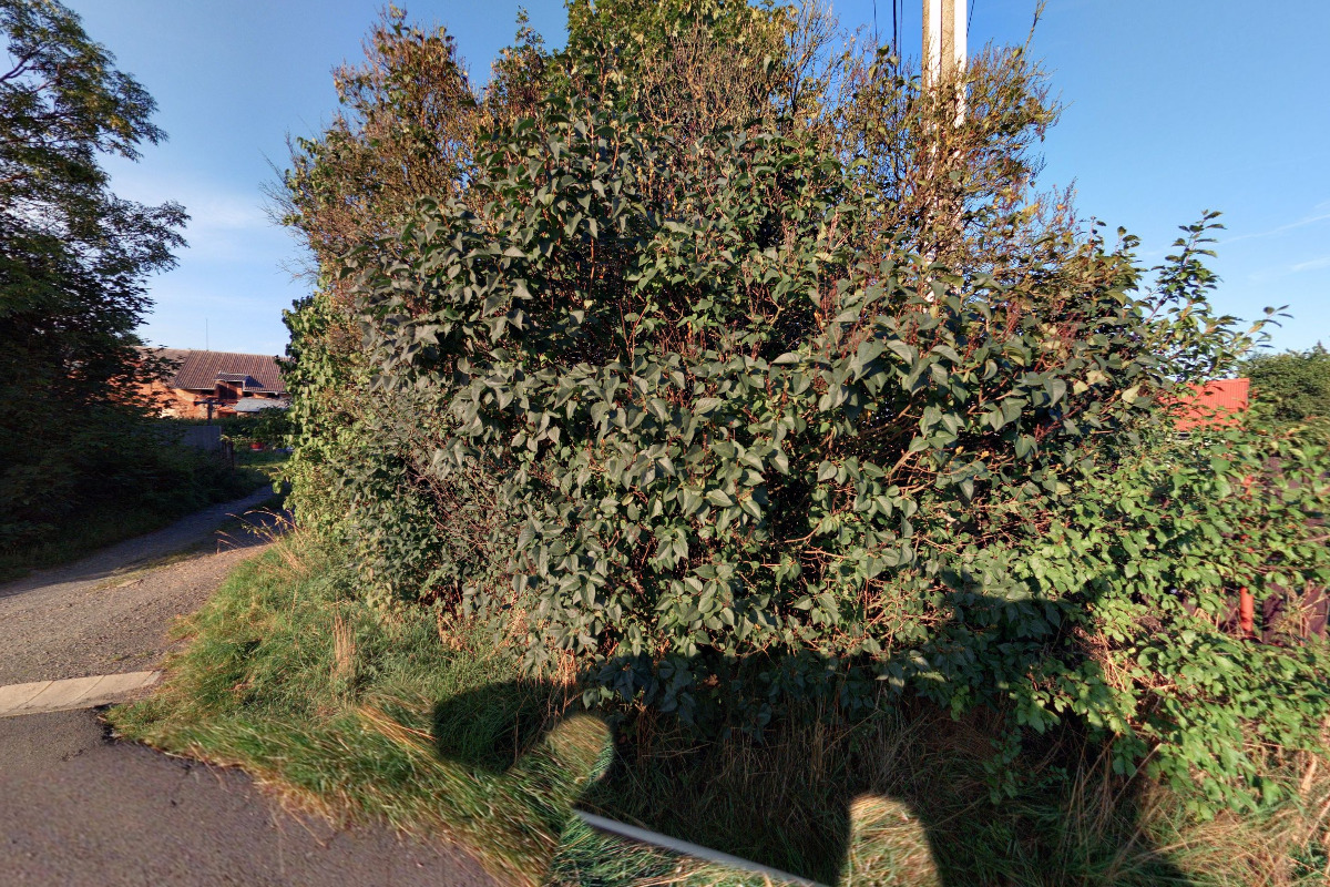 Palety a Pila Janoušek