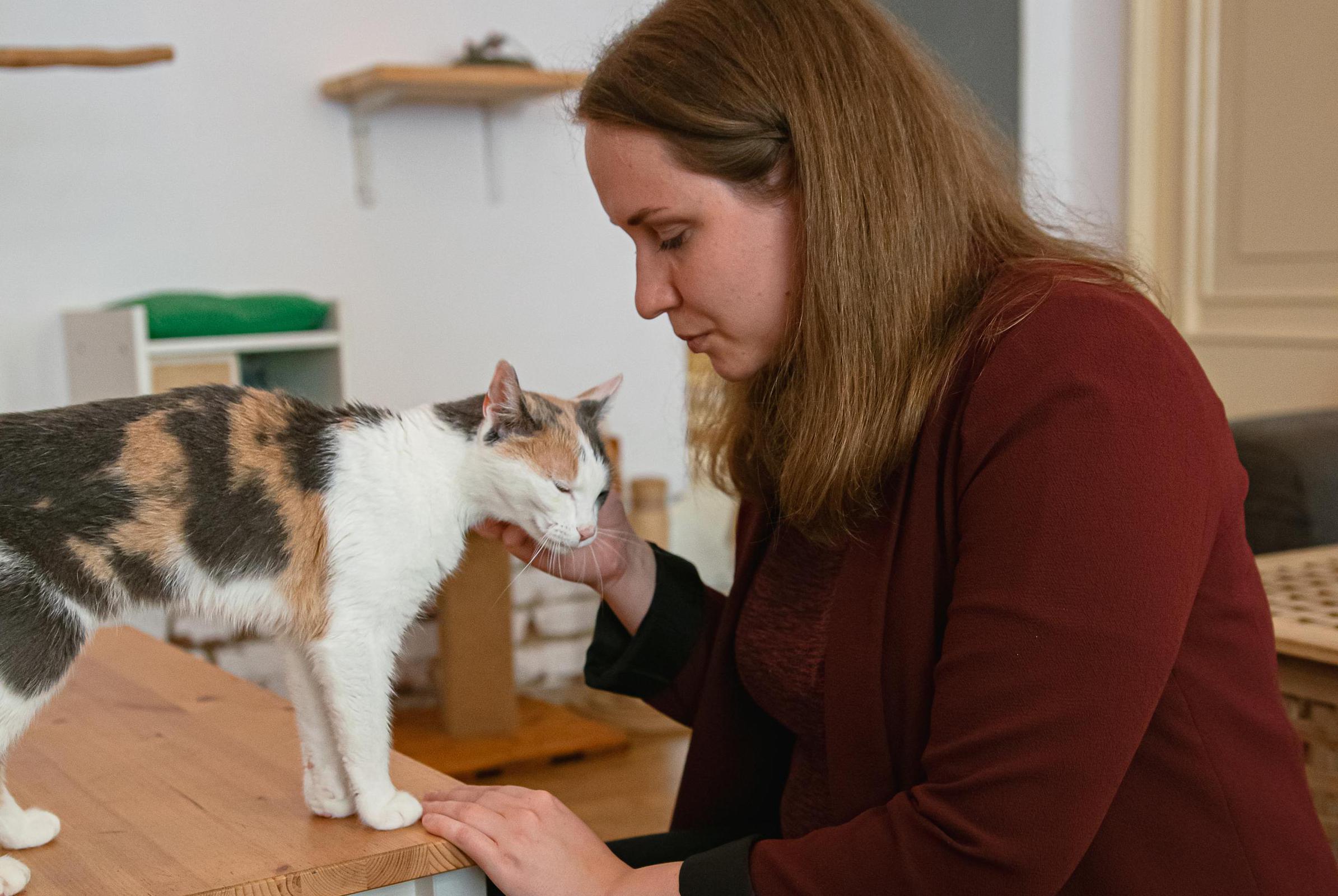 Kočičí polepšovna Kateřiny Štiblické