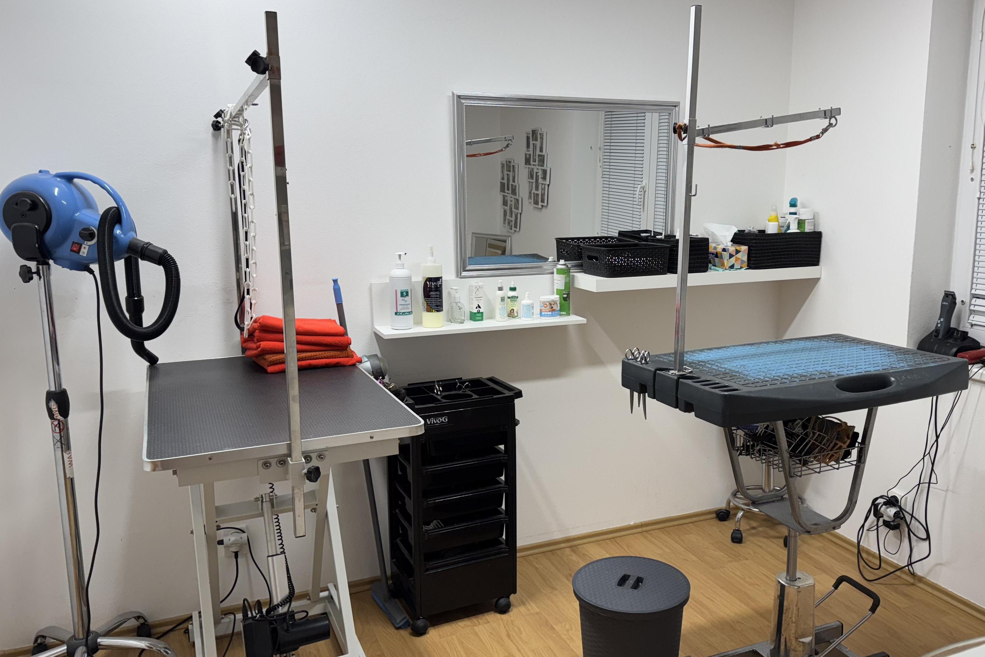 Salon pro psy u Ivety