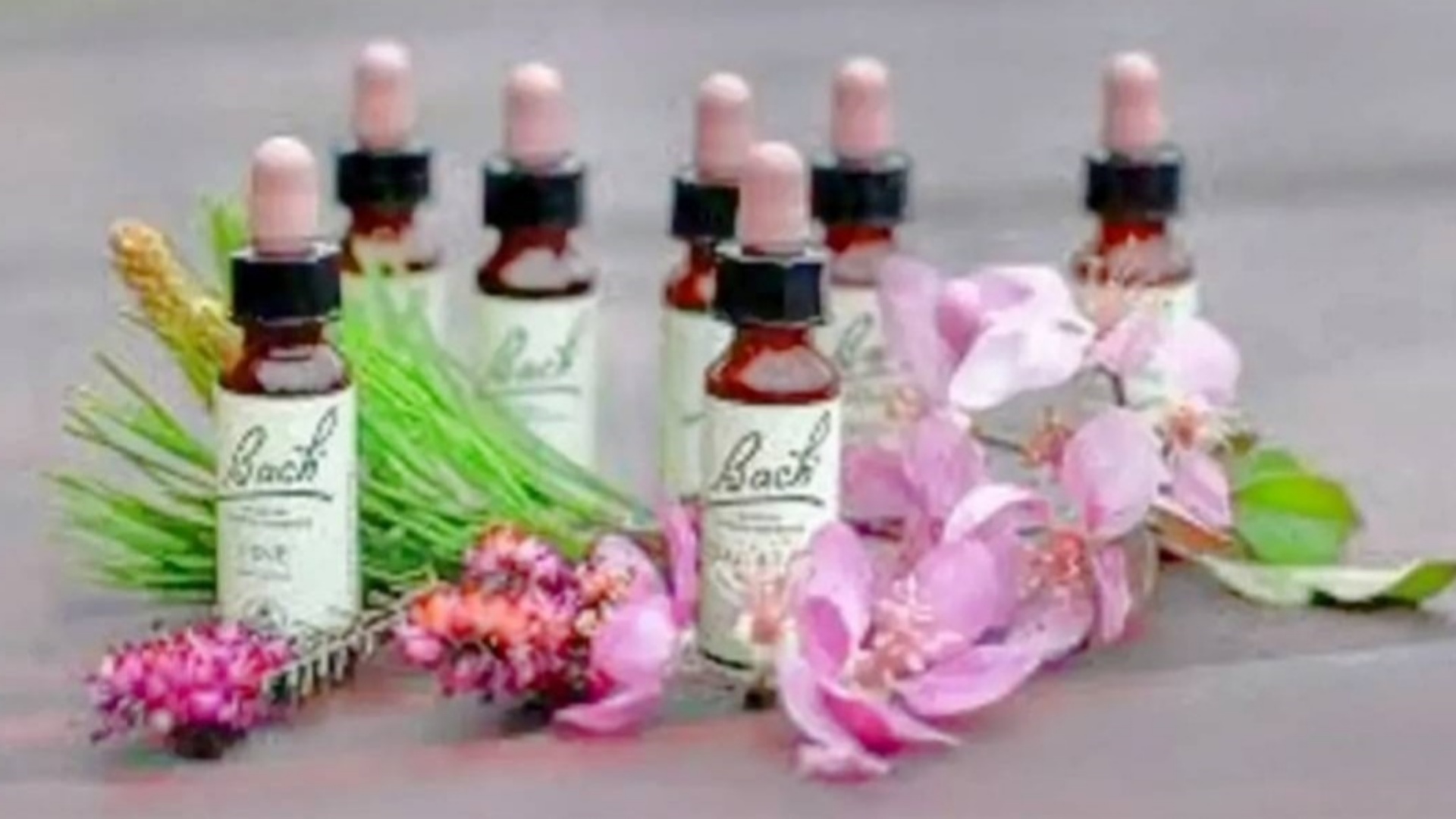 Bachovy esence na míru s konzultací