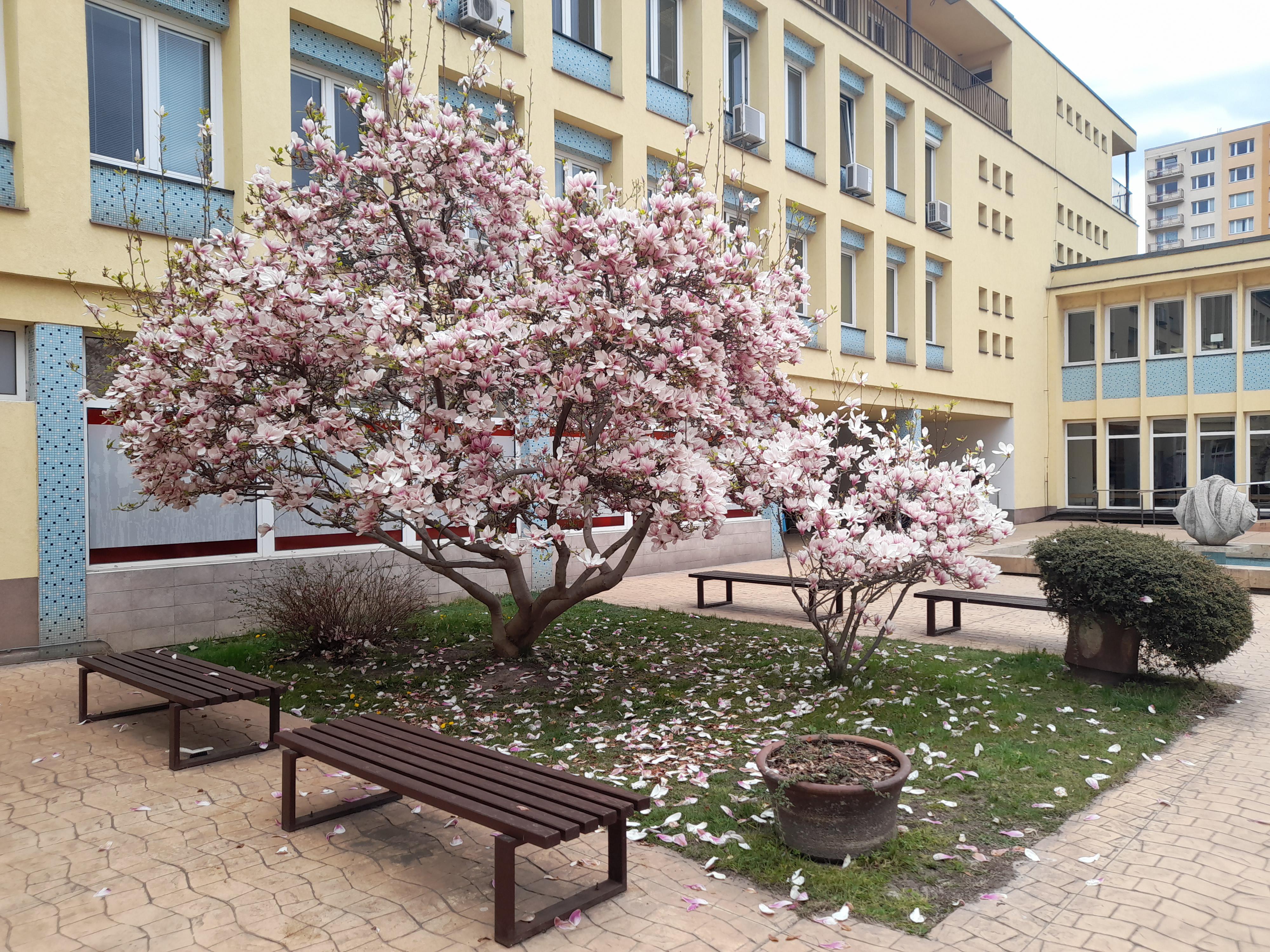 Poliklinika Zahradní Město, spol. s r.o. foto 3