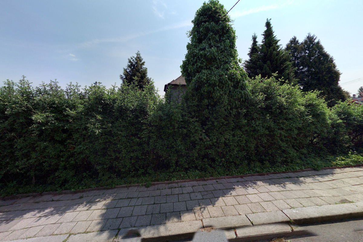 Daňový poradce ev. č. 2913 Ing. Marcela Řeháčková foto 2