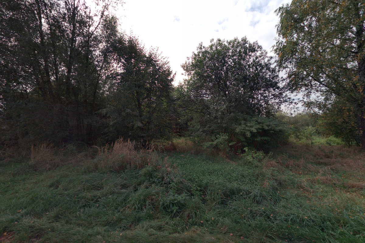 Zámek Dolní Lutyně foto 1