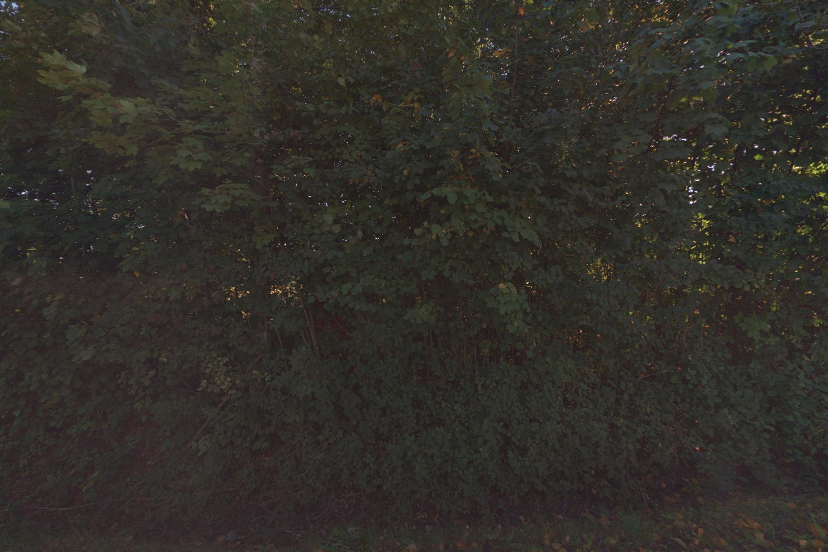 Ing. Iveta Skuherská