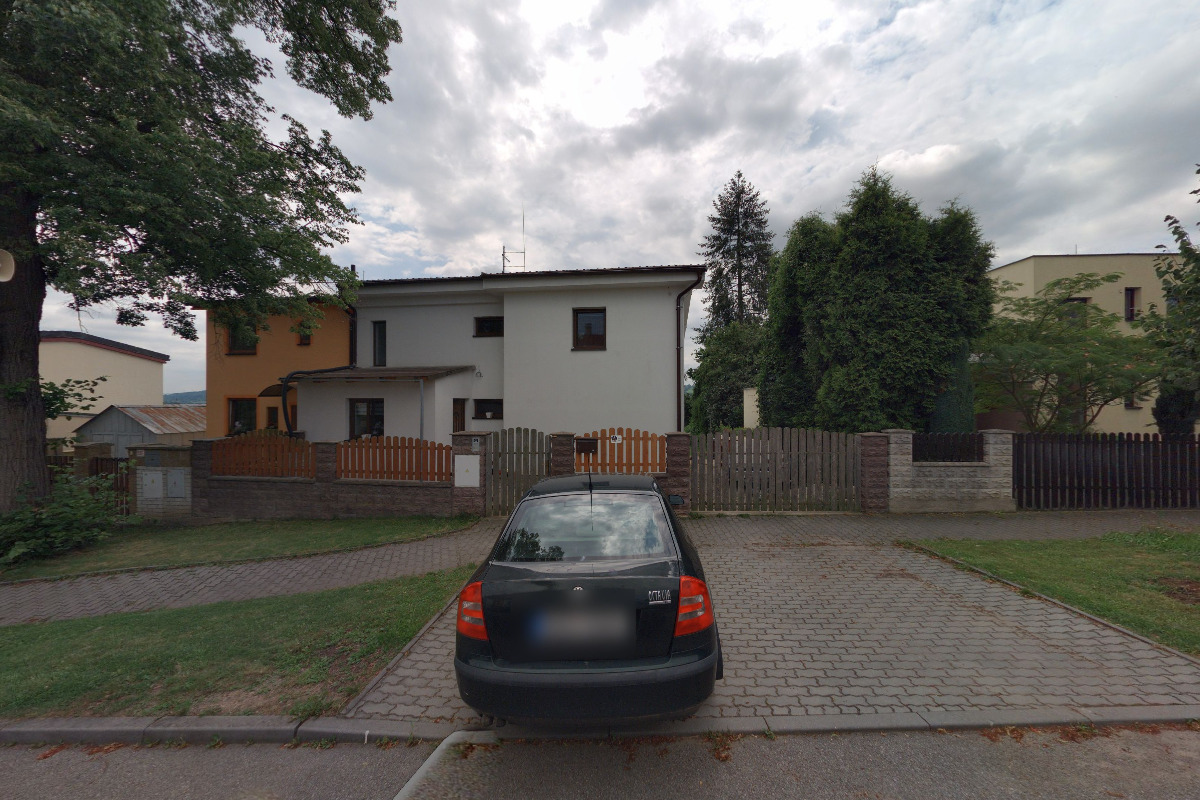 Martin Frisch - malířství